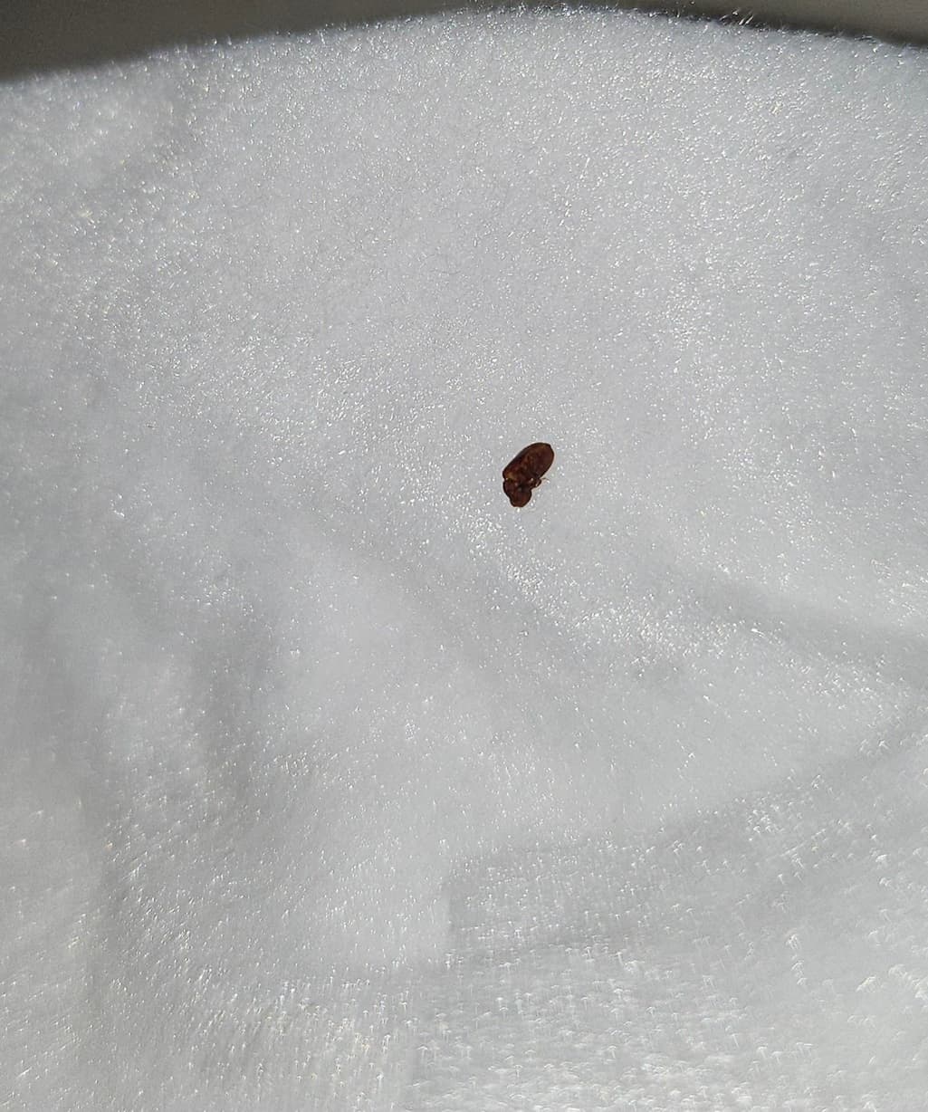 4번 째 사진