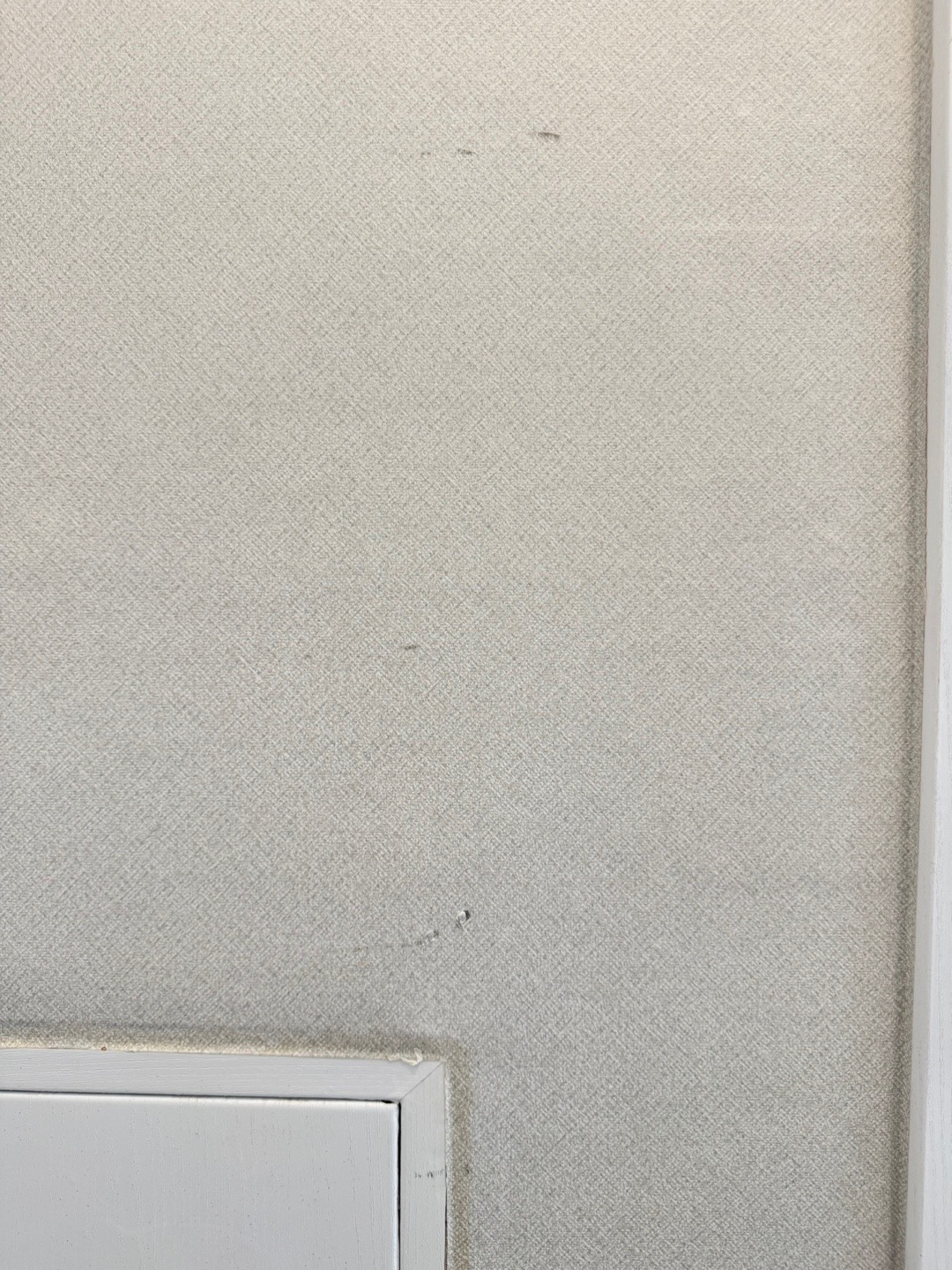 12번 째 사진