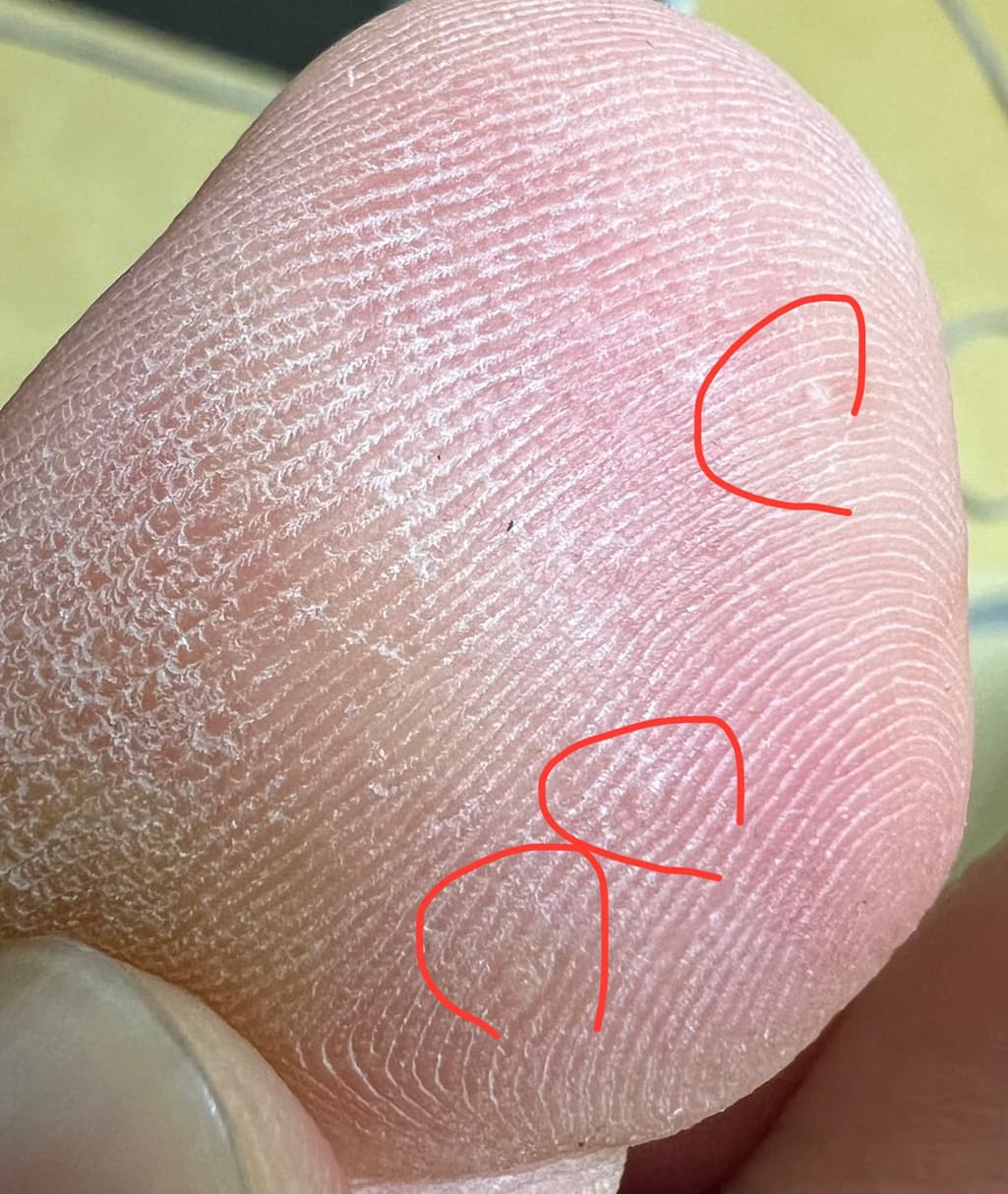 2번 째 사진