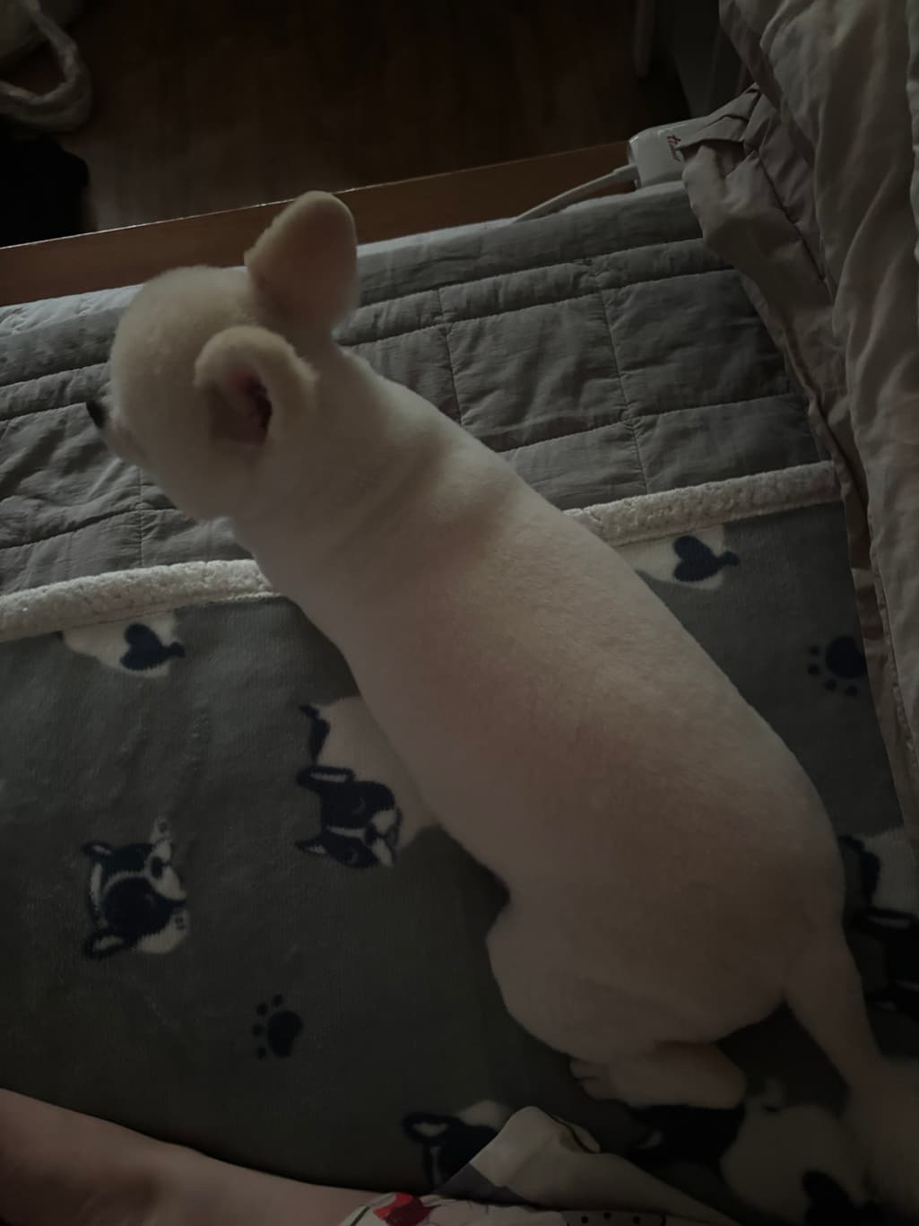 2번 째 사진