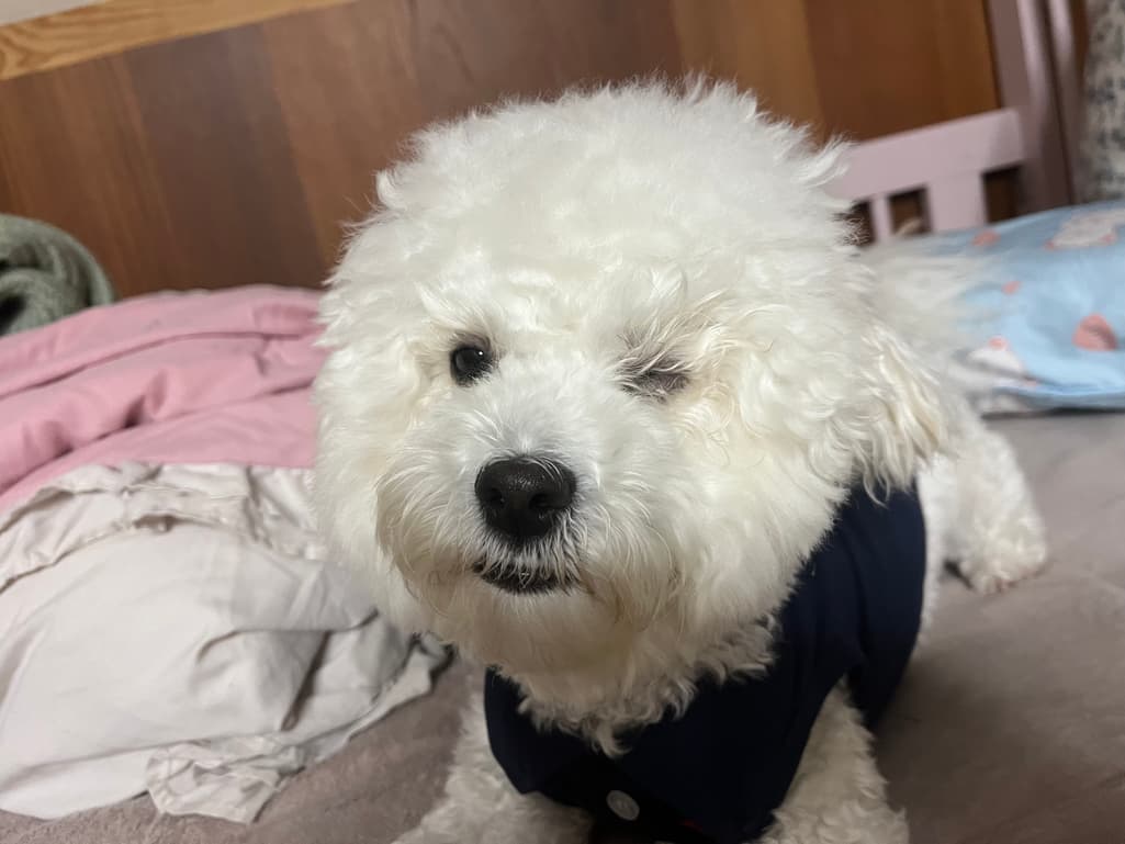 1번 째 사진