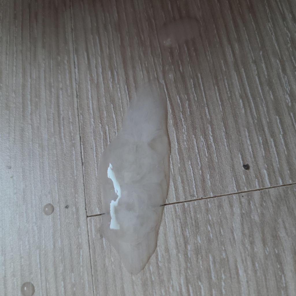 2번 째 사진