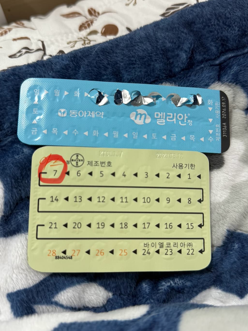 1번 째 사진