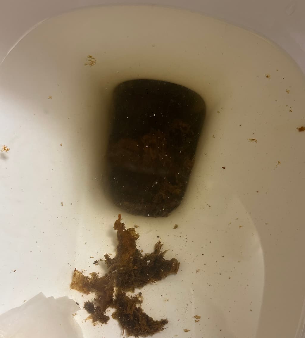 2번 째 사진