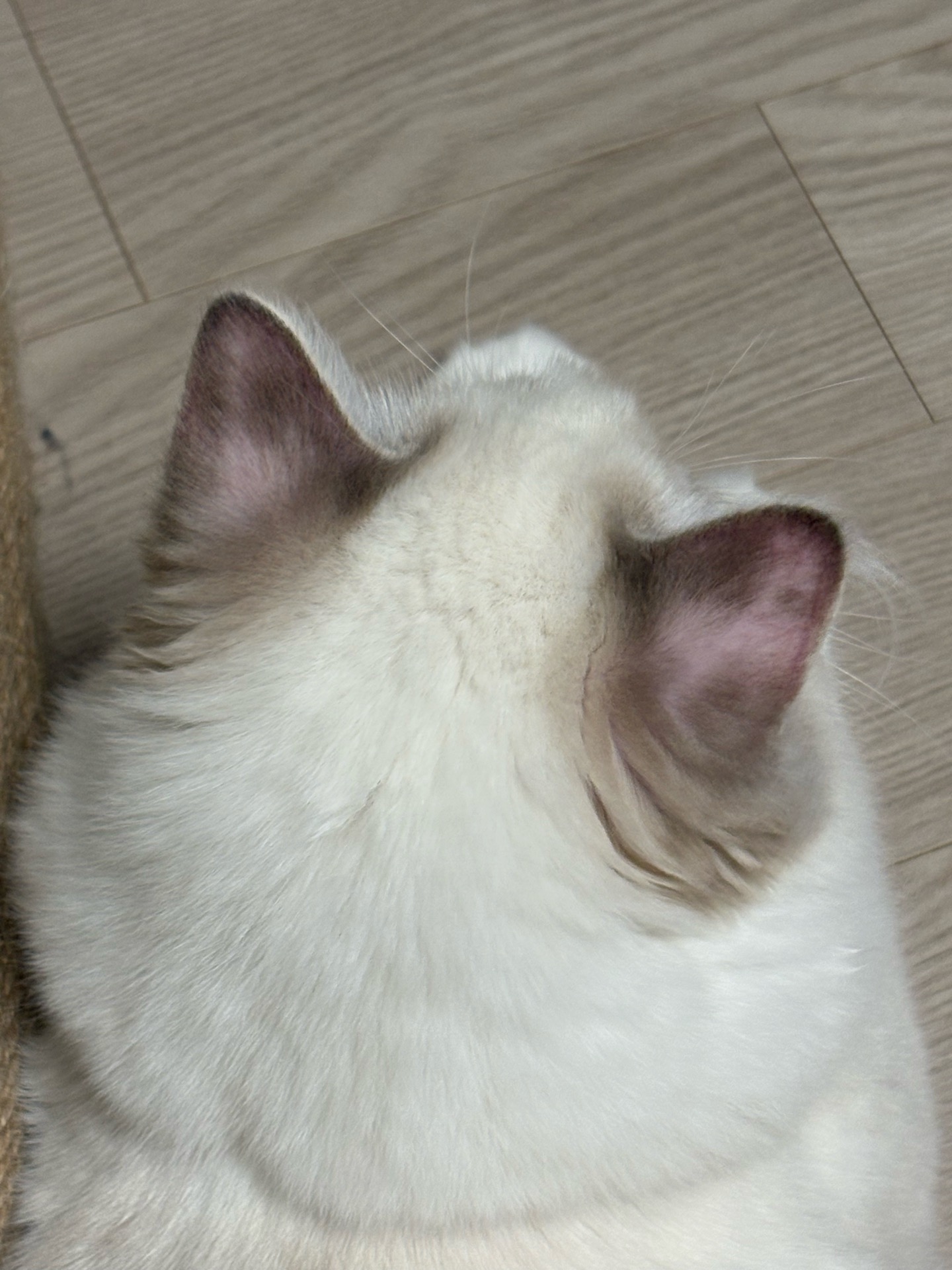2번 째 사진