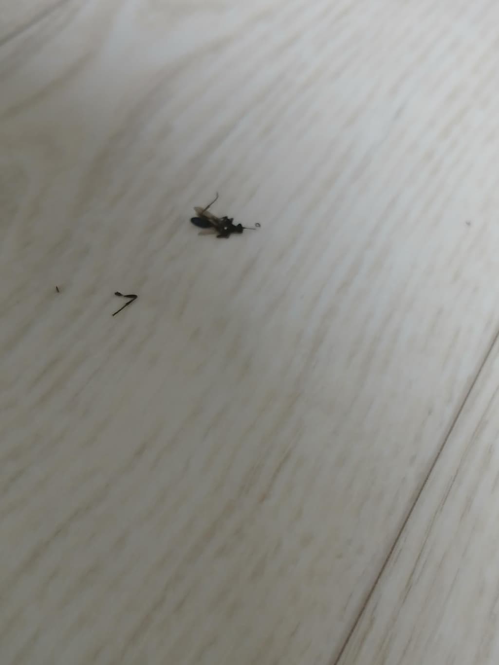 3번 째 사진