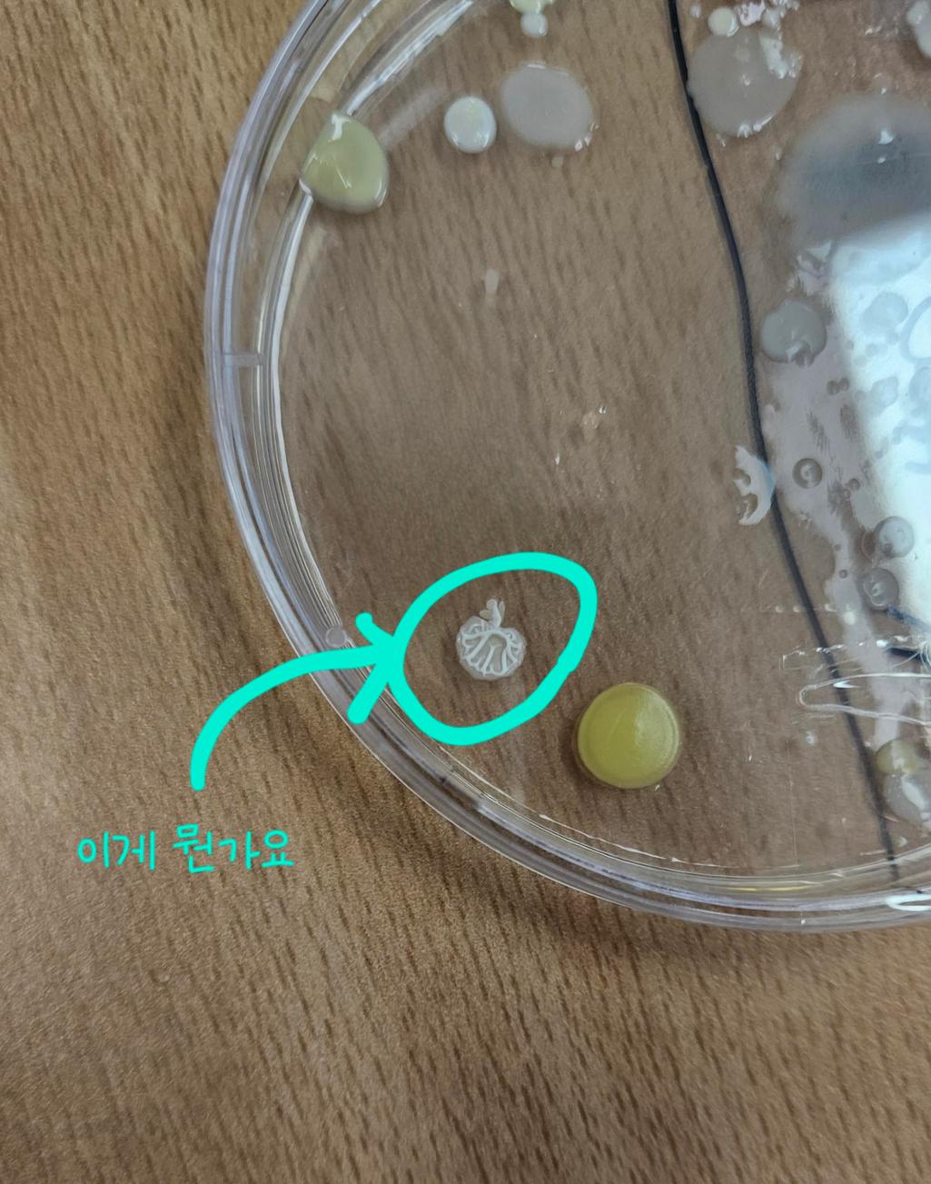 2번 째 사진
