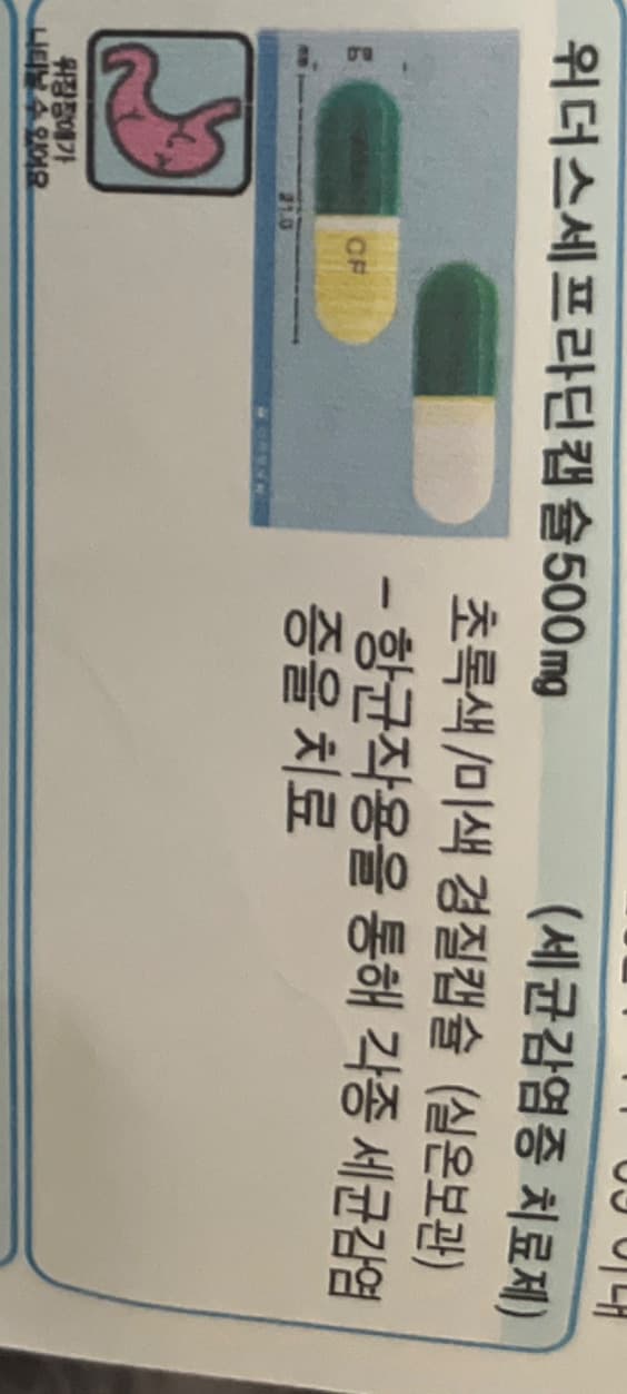 1번 째 사진