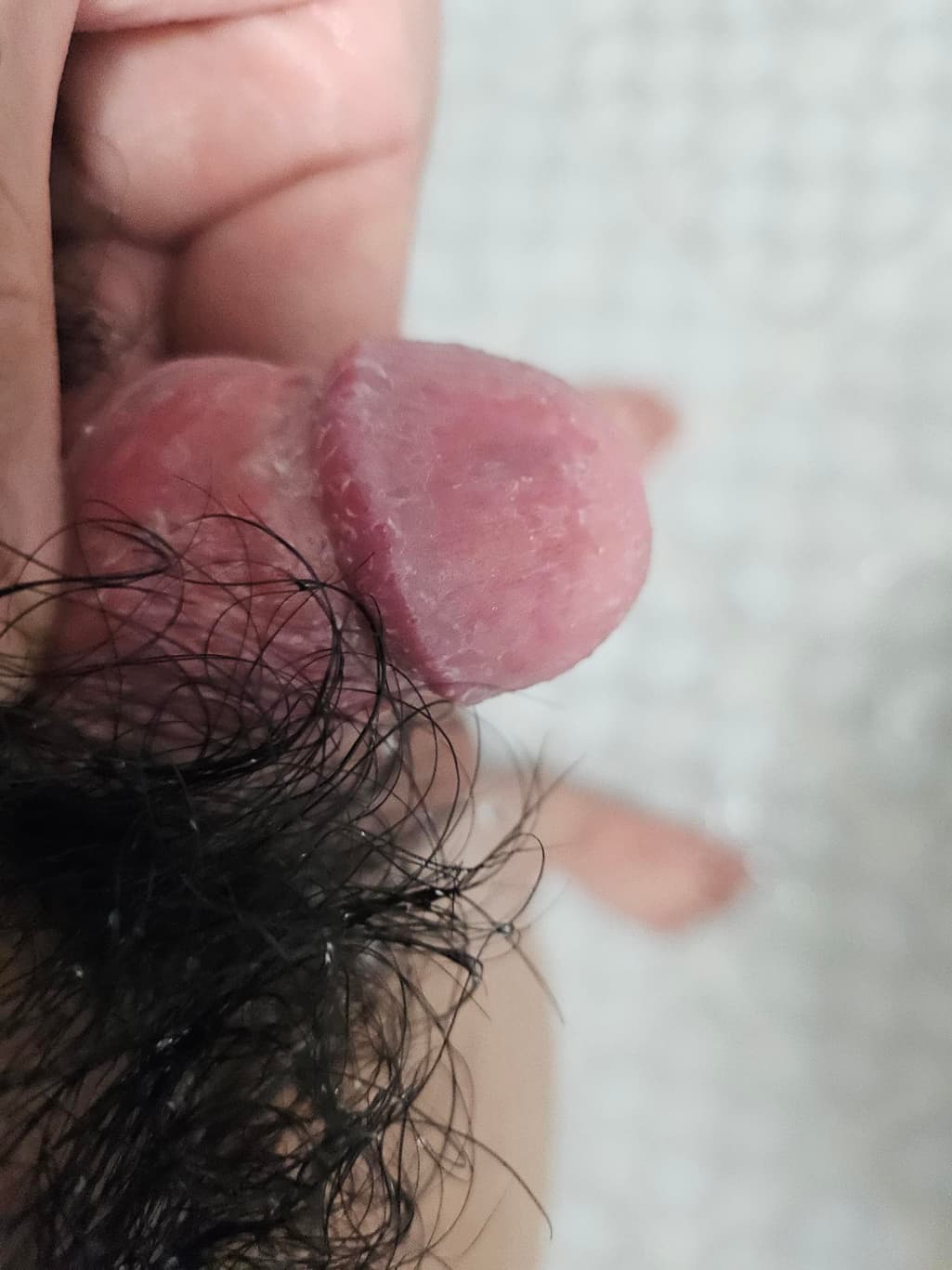 2번 째 사진