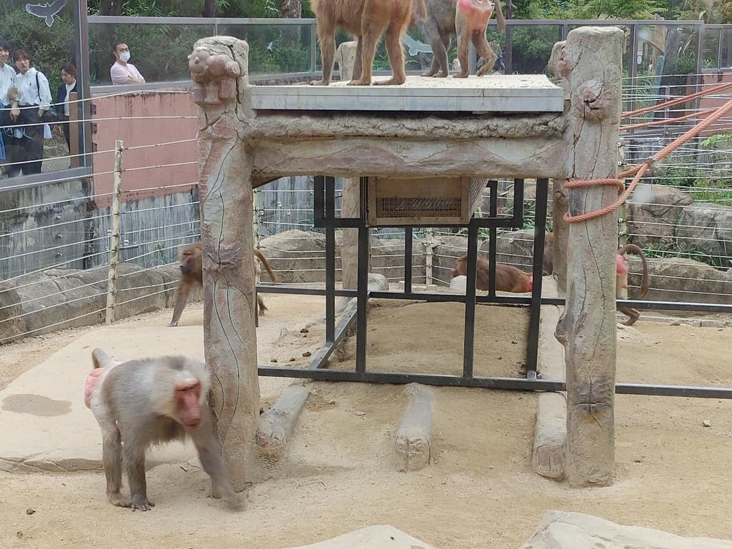 2번 째 사진