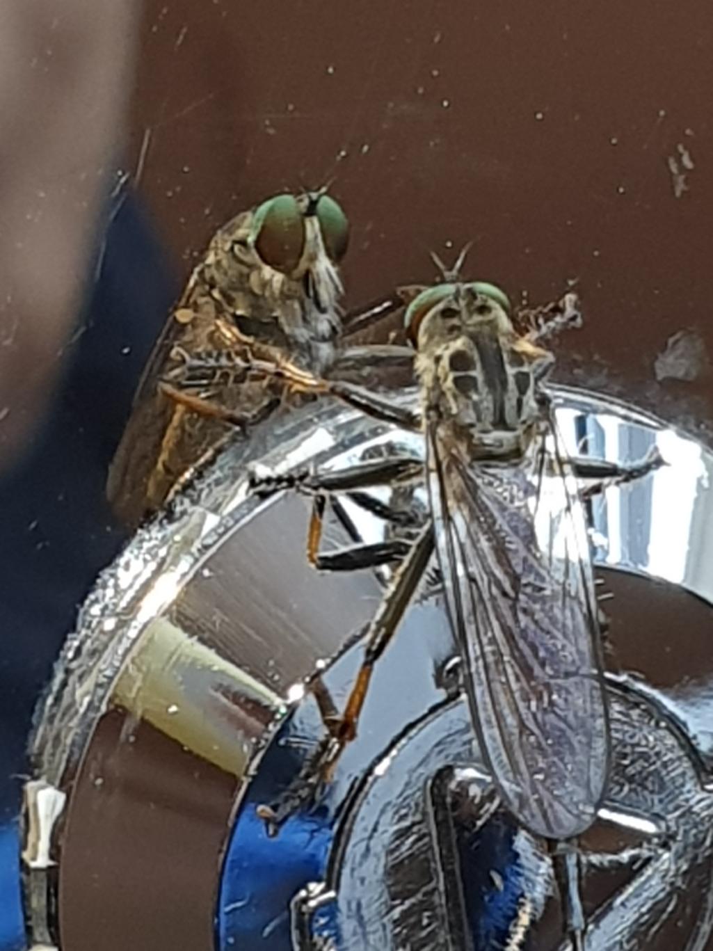 2번 째 사진