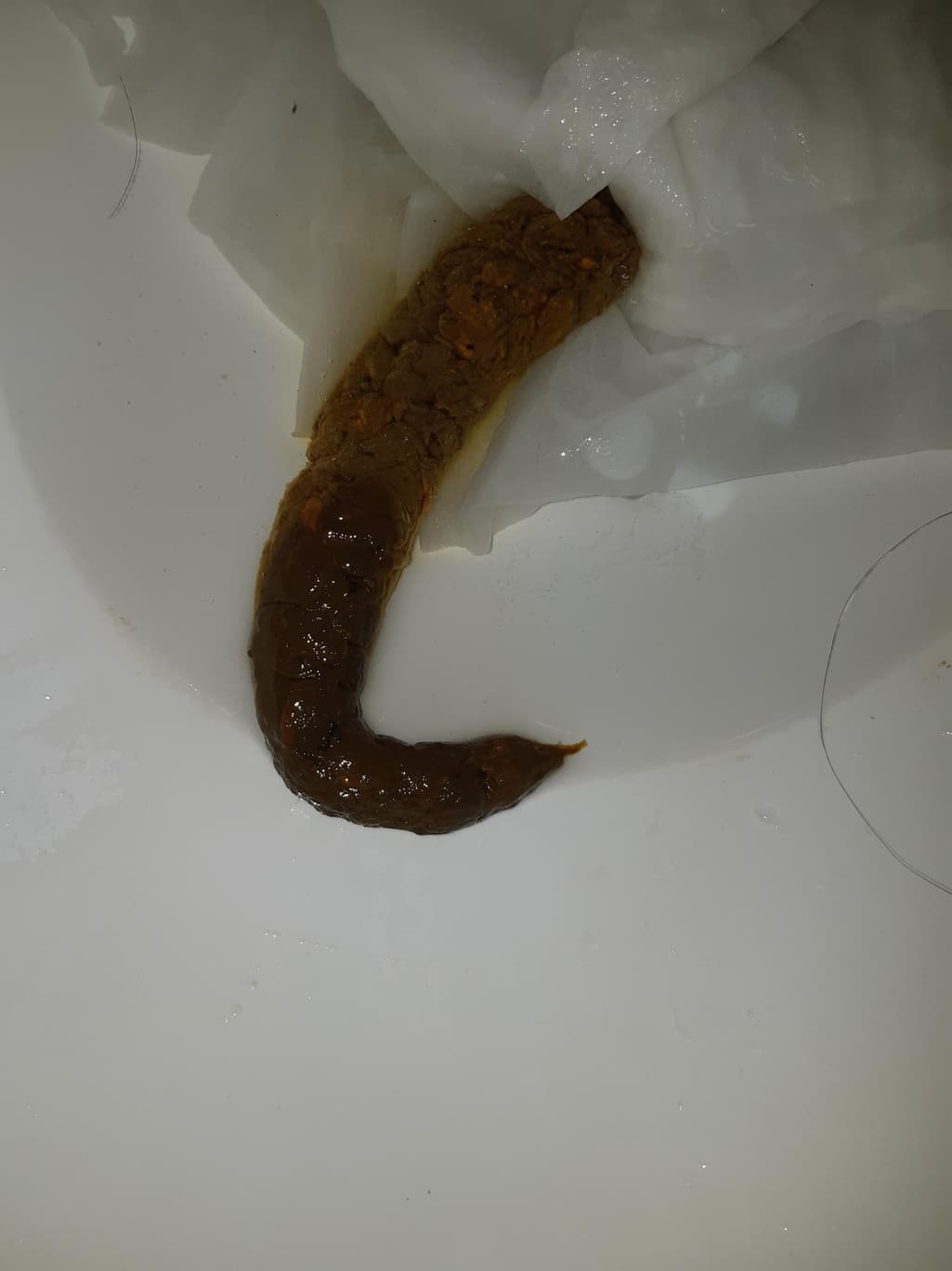2번 째 사진