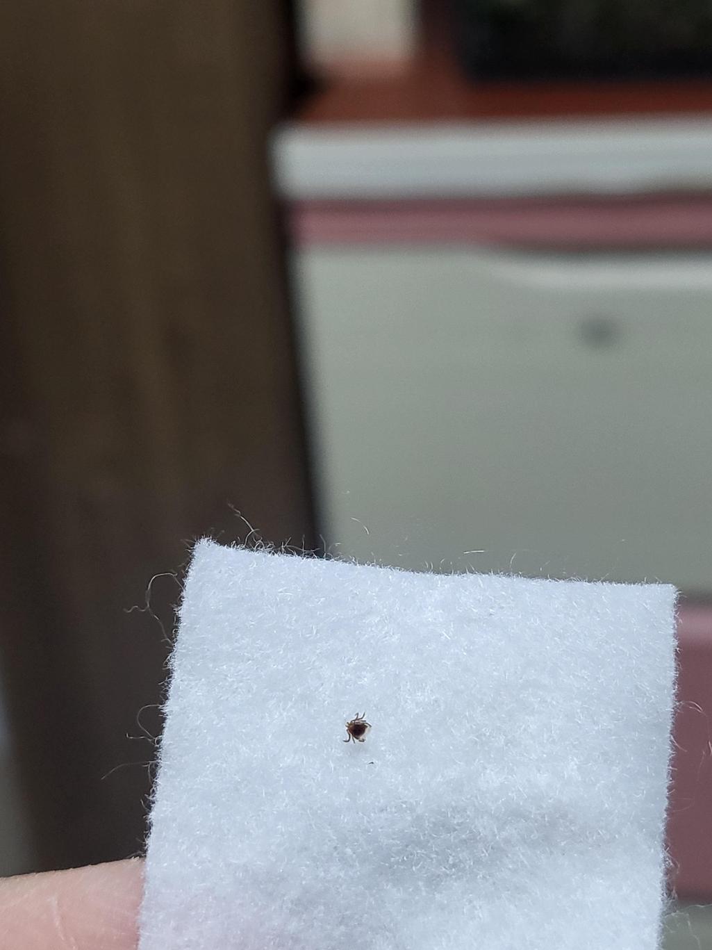 2번 째 사진