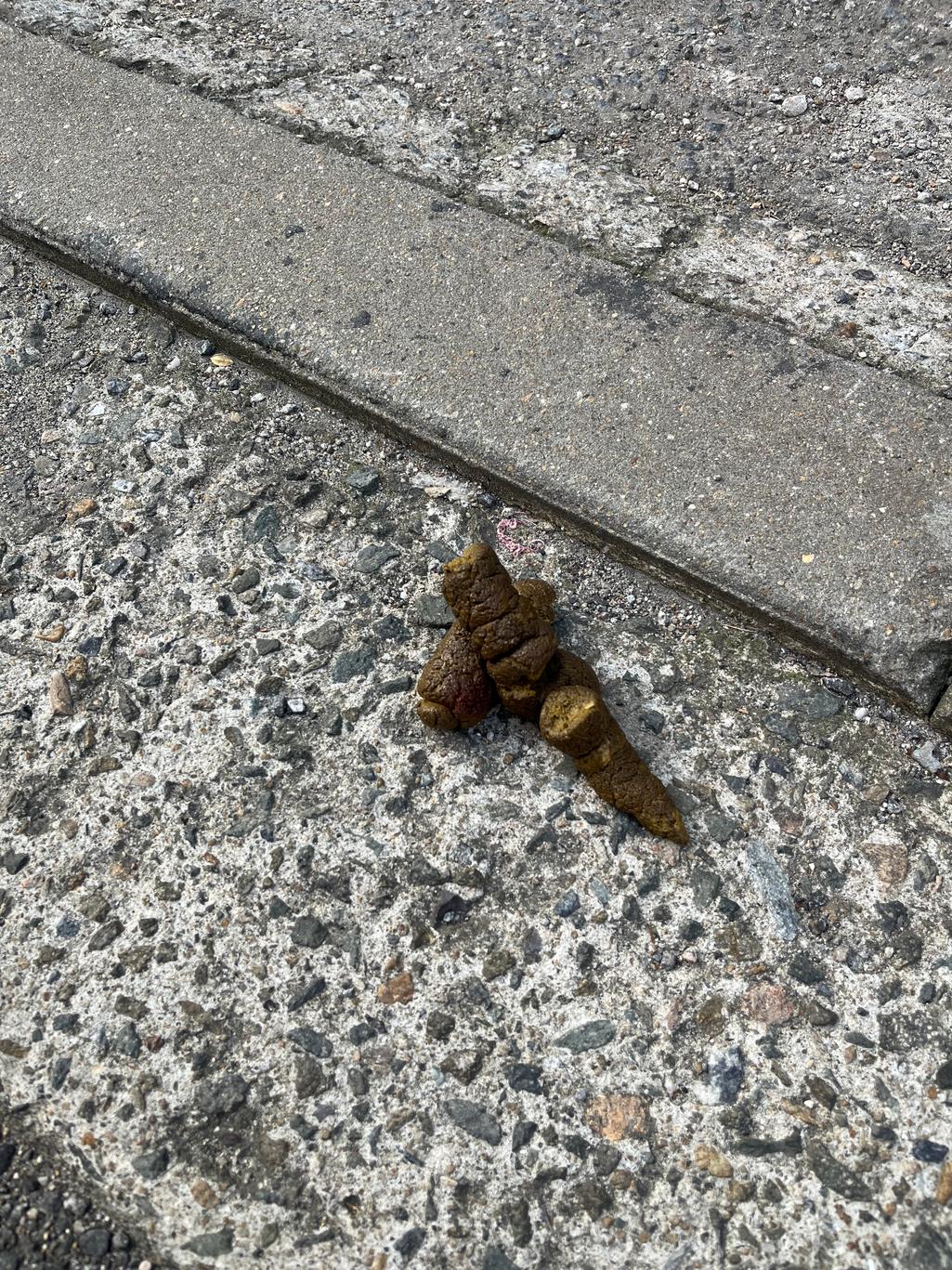 2번 째 사진
