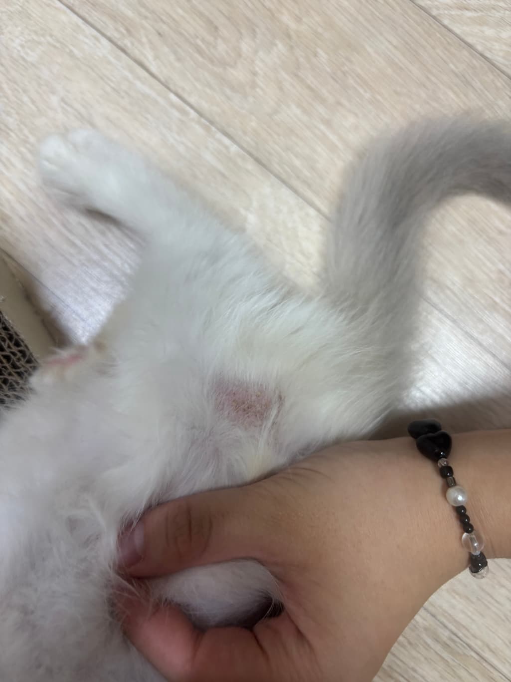 2번 째 사진