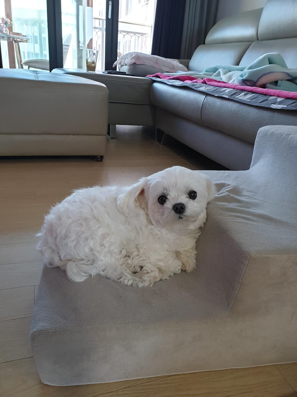 1번 째 사진