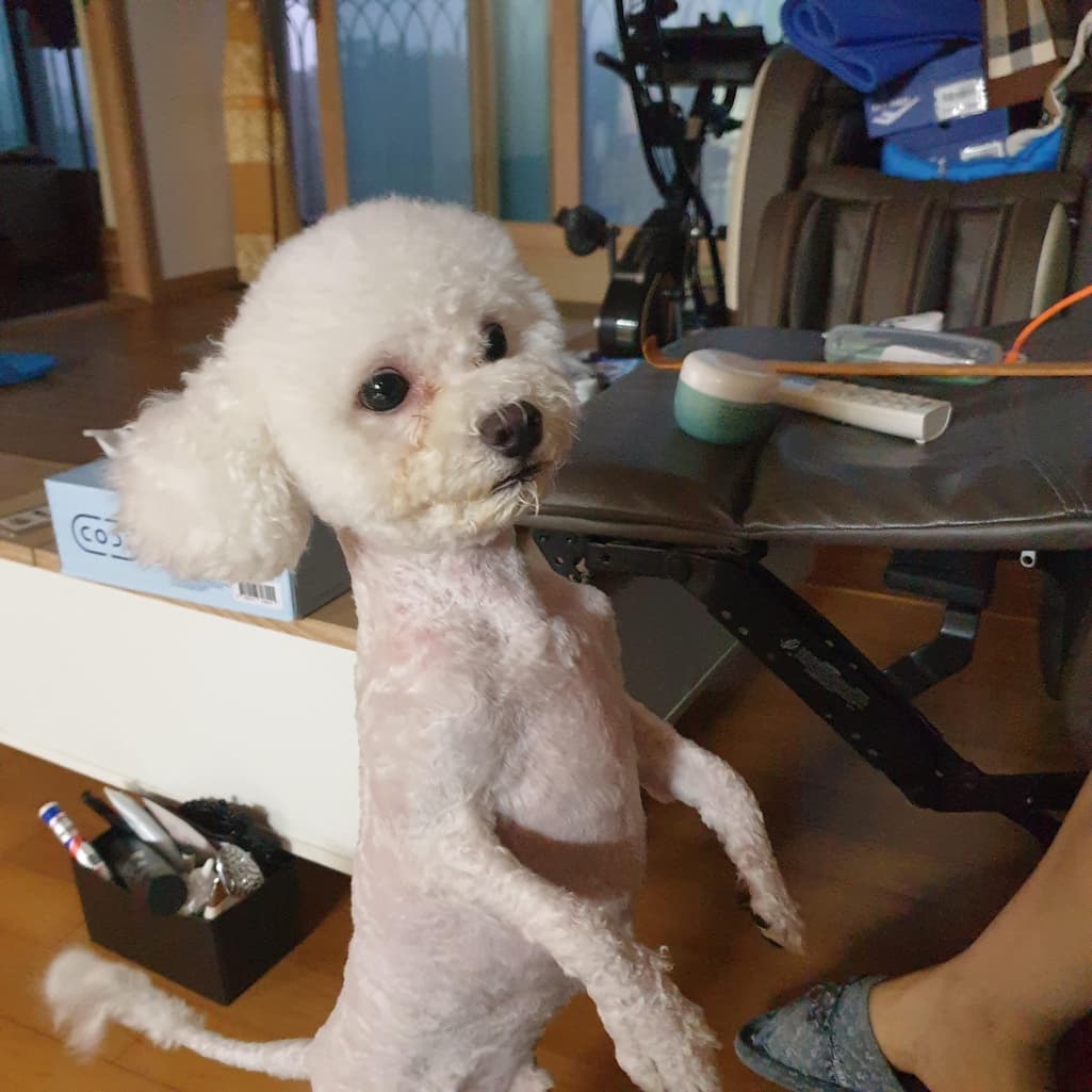 2번 째 사진