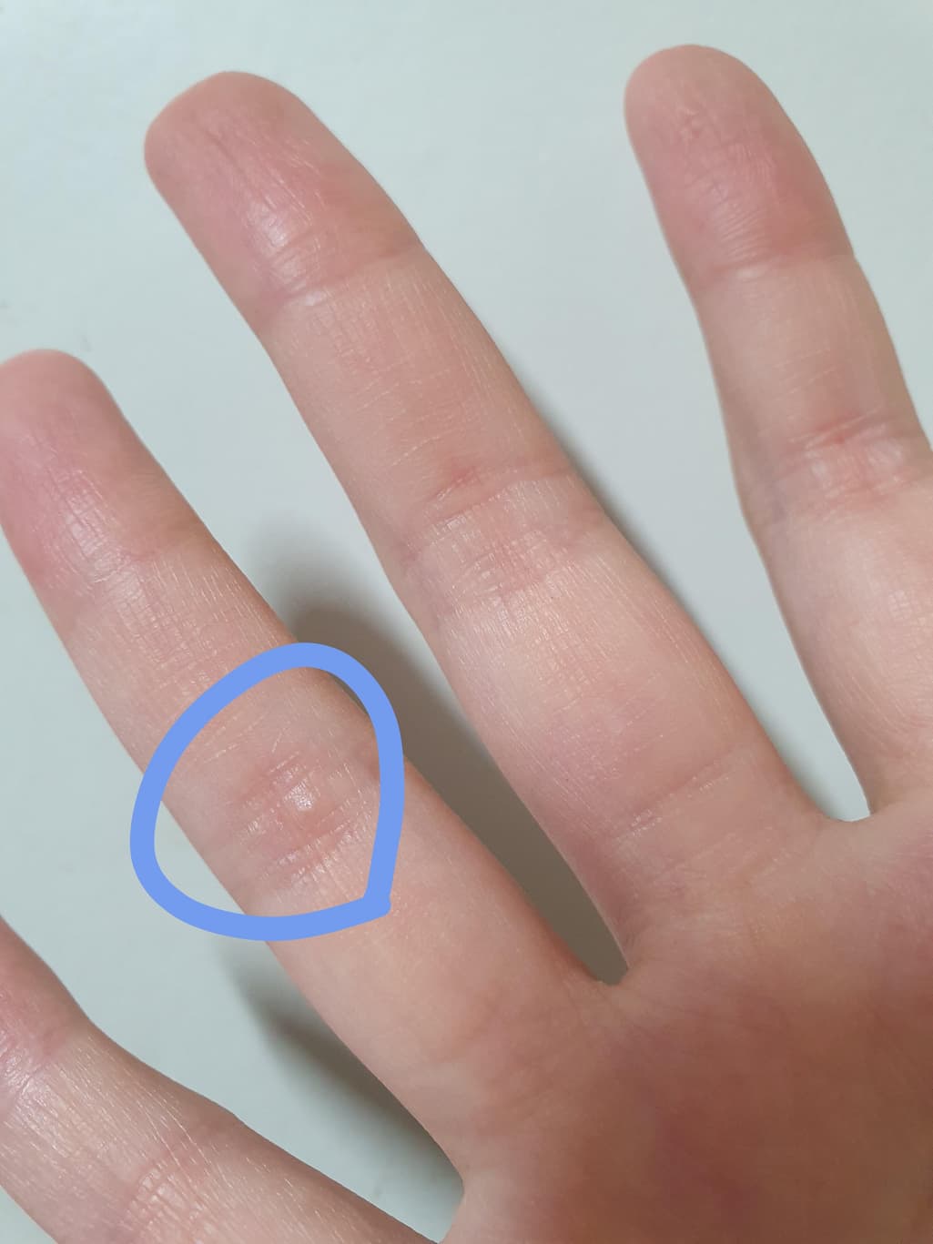 3번 째 사진