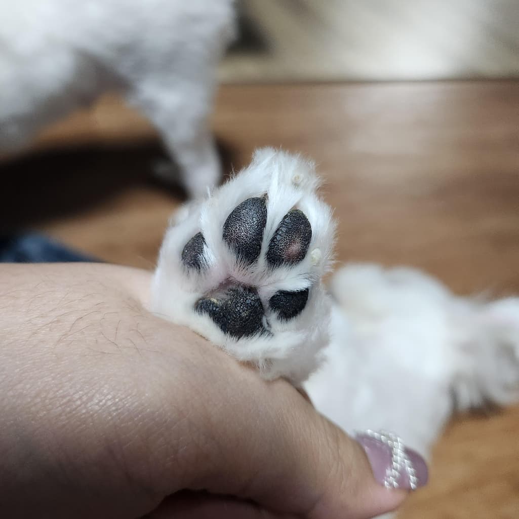 3번 째 사진