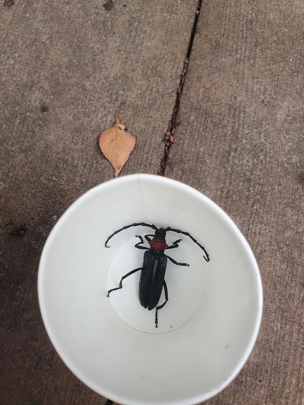 2번 째 사진