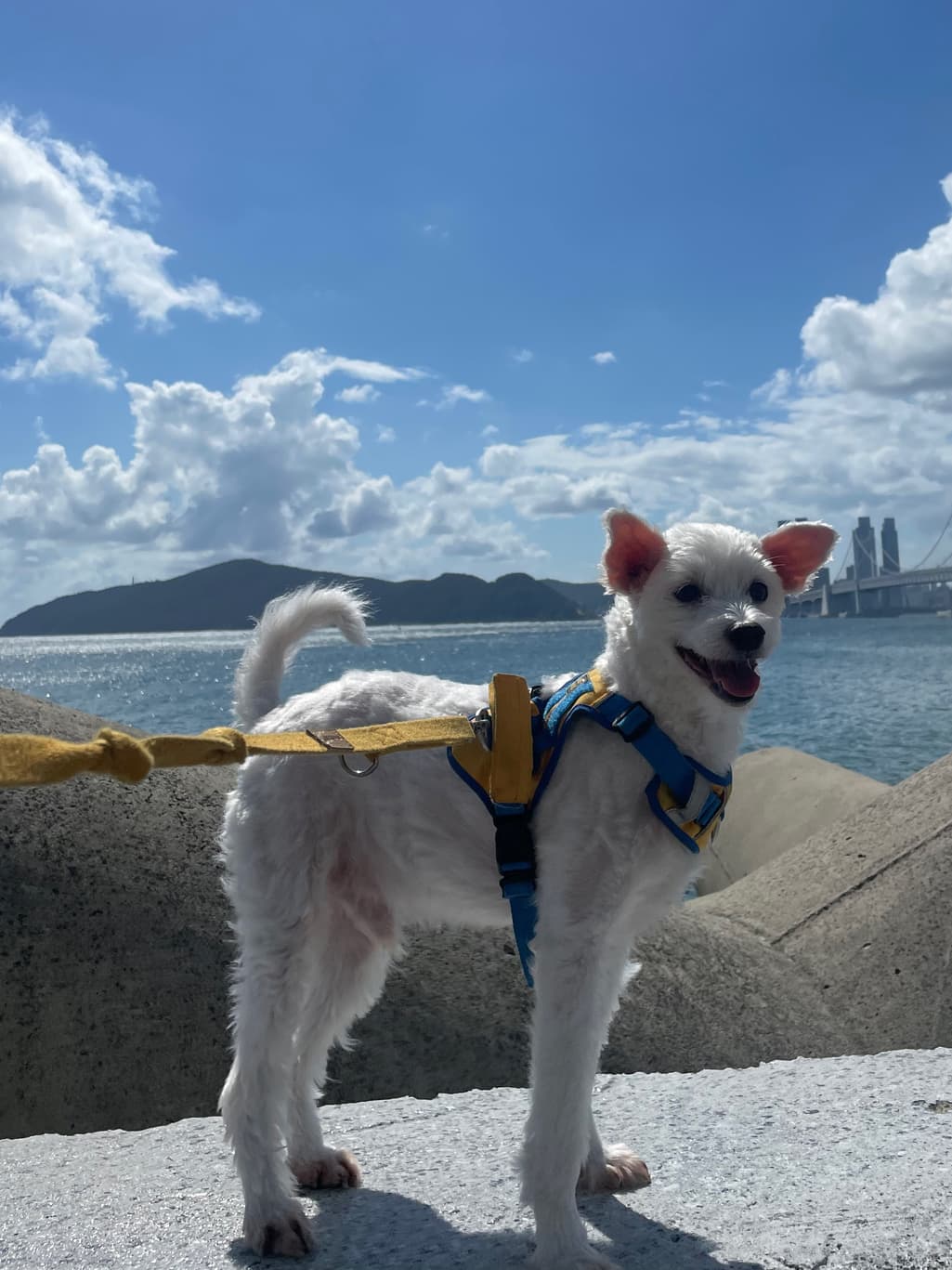 1번 째 사진
