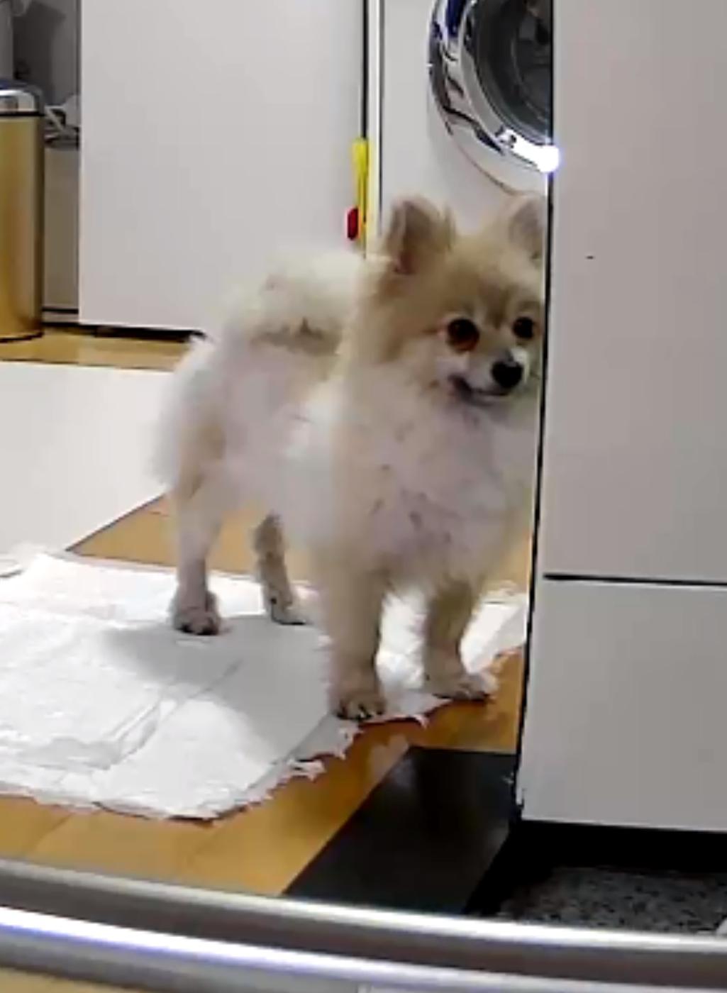 1번 째 사진