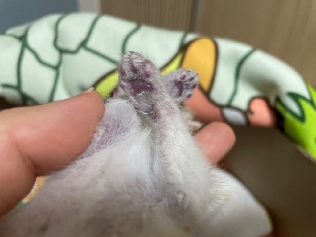 2번 째 사진