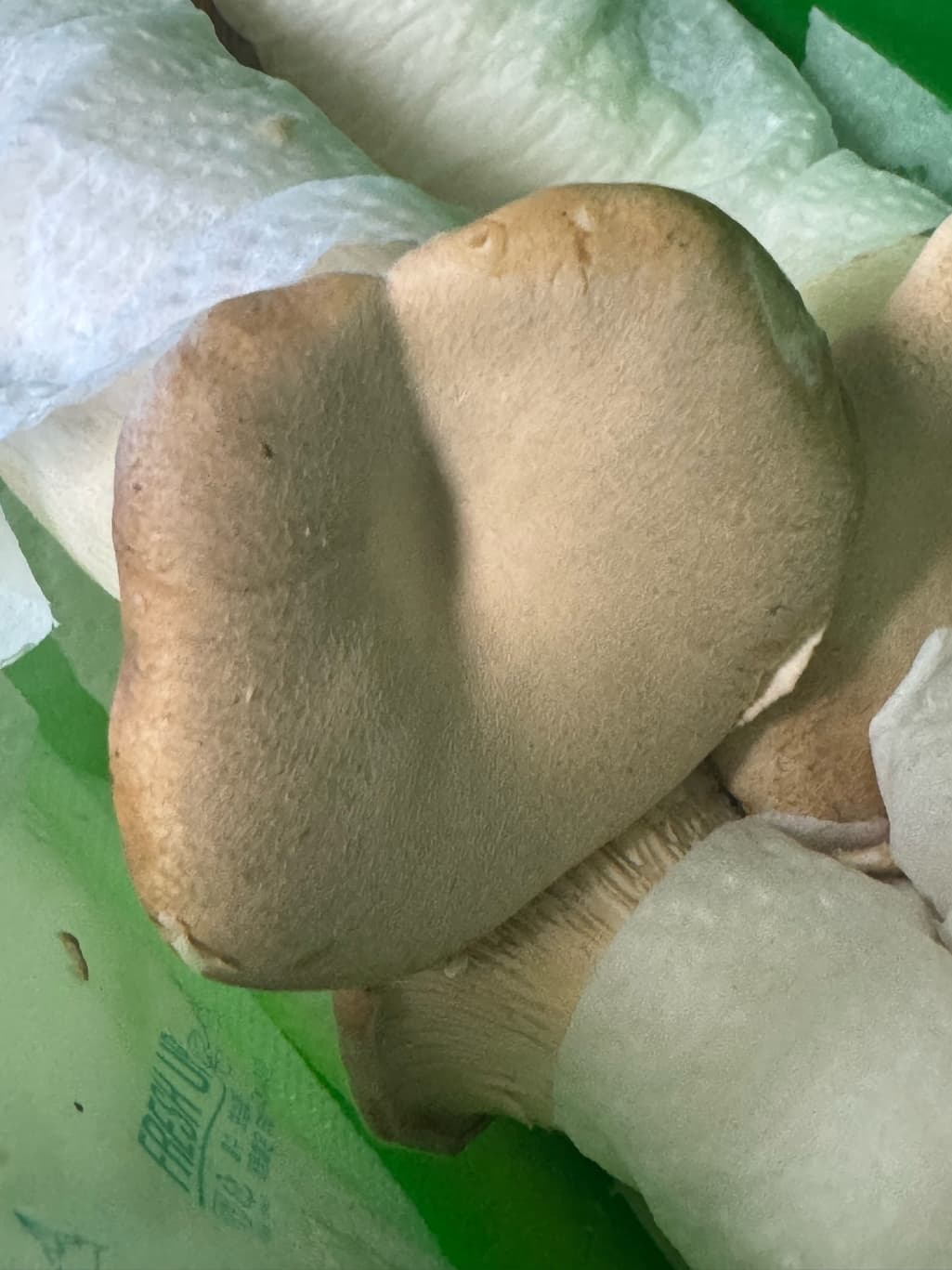 2번 째 사진