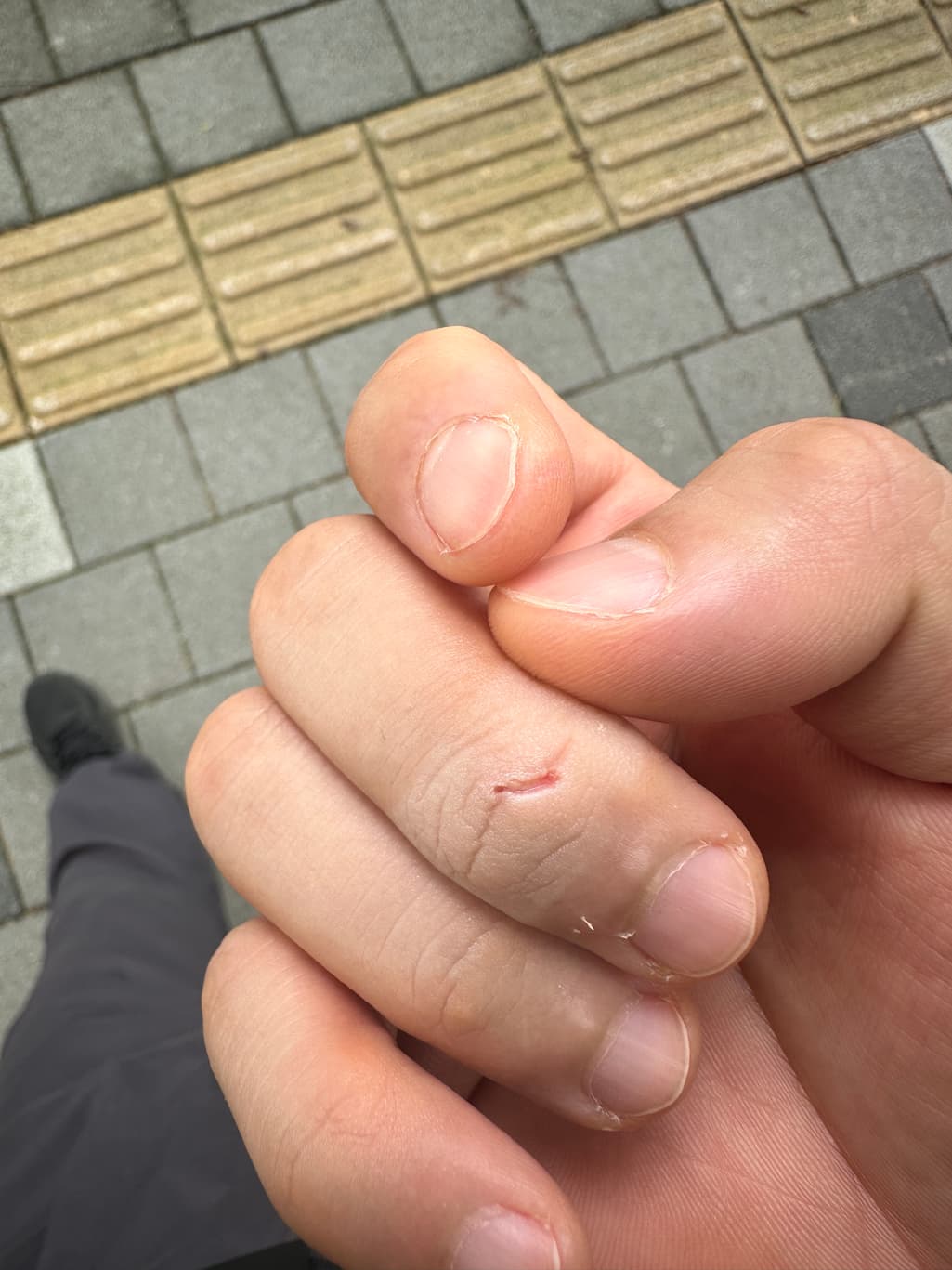 1번 째 사진
