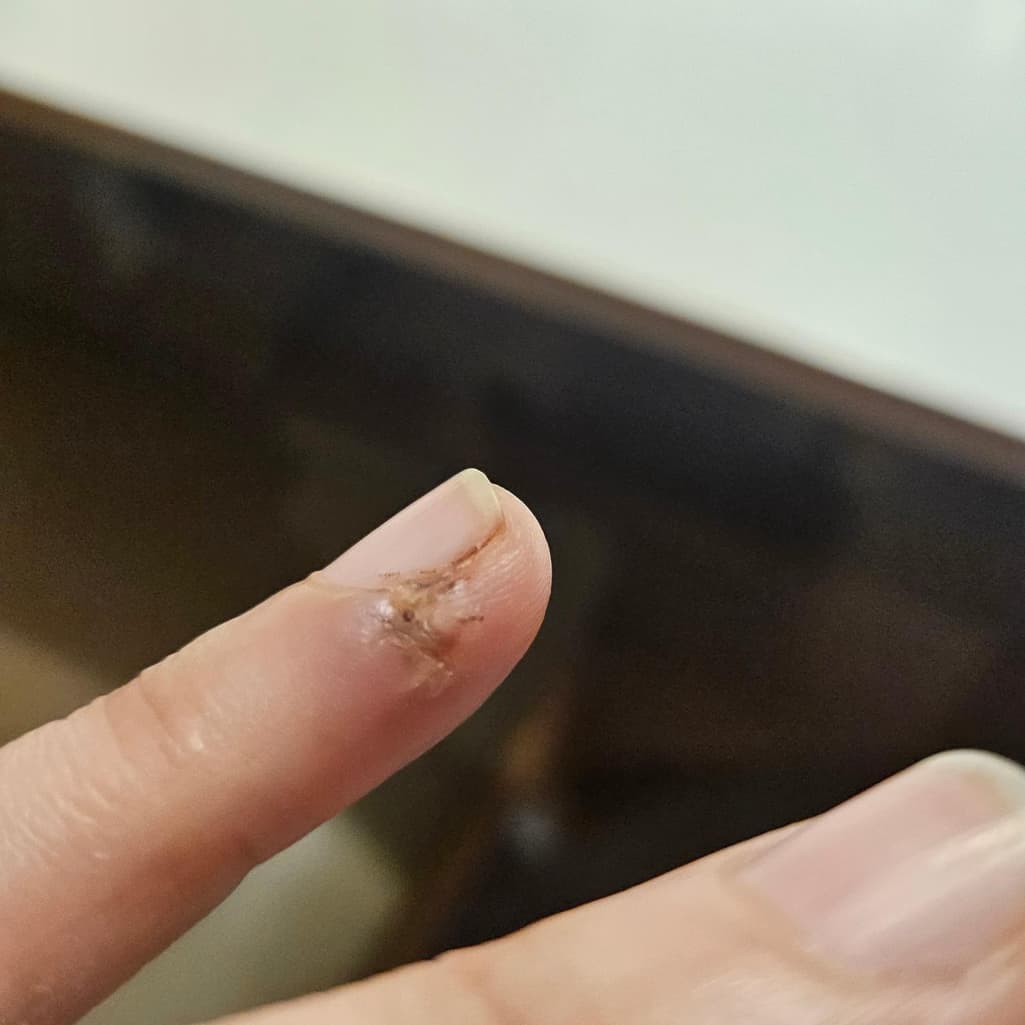 1번 째 사진