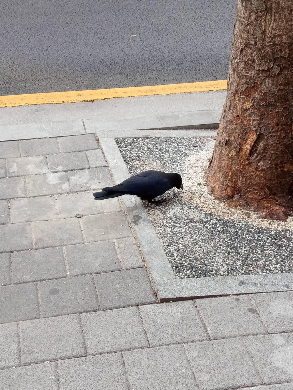 3번 째 사진