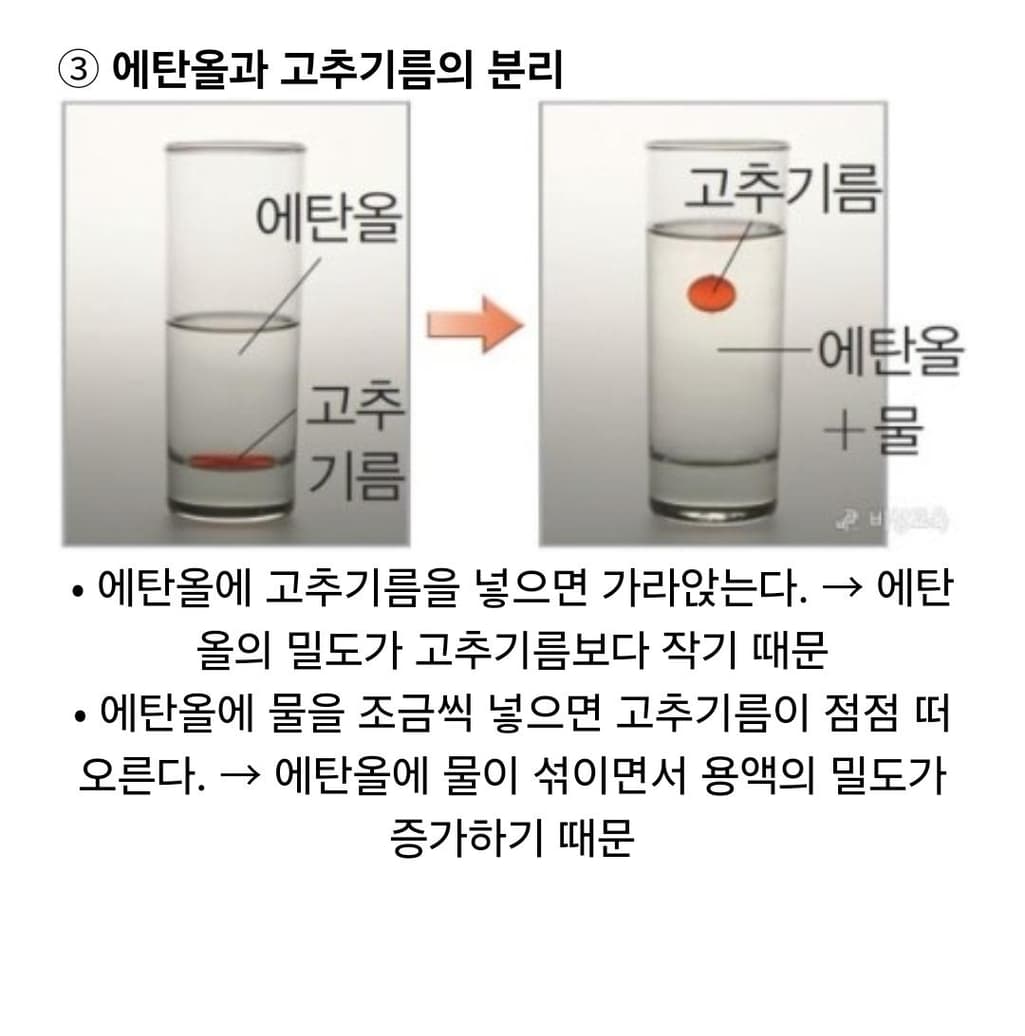 2번 째 사진