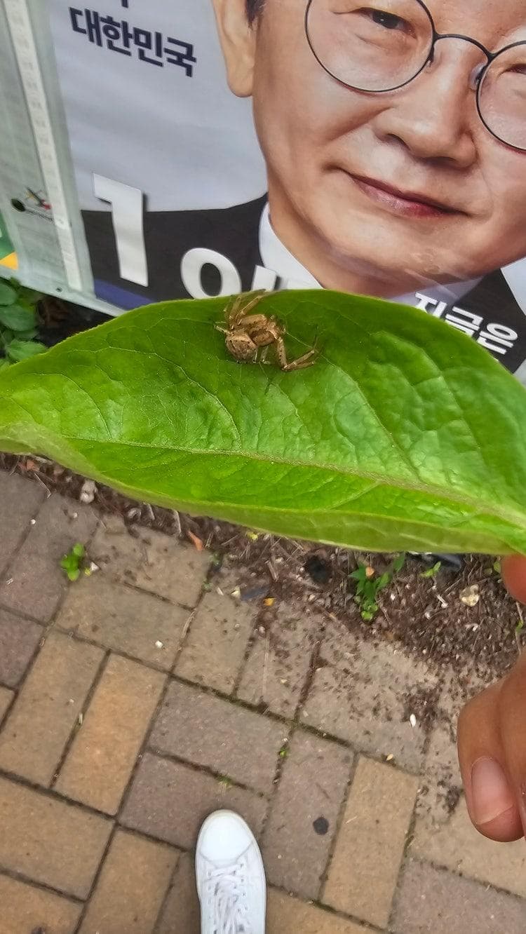 3번 째 사진