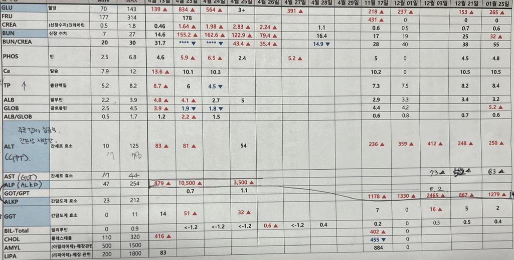2번 째 사진