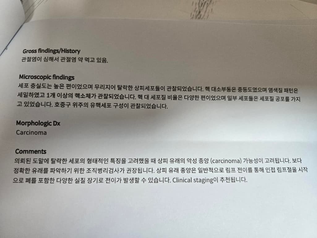 2번 째 사진