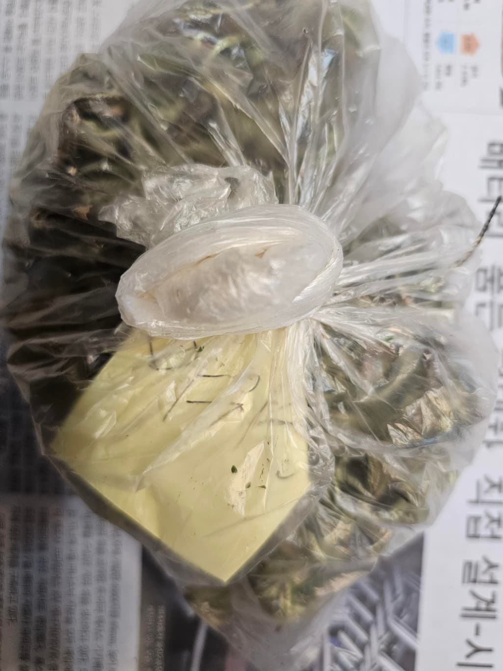 3번 째 사진