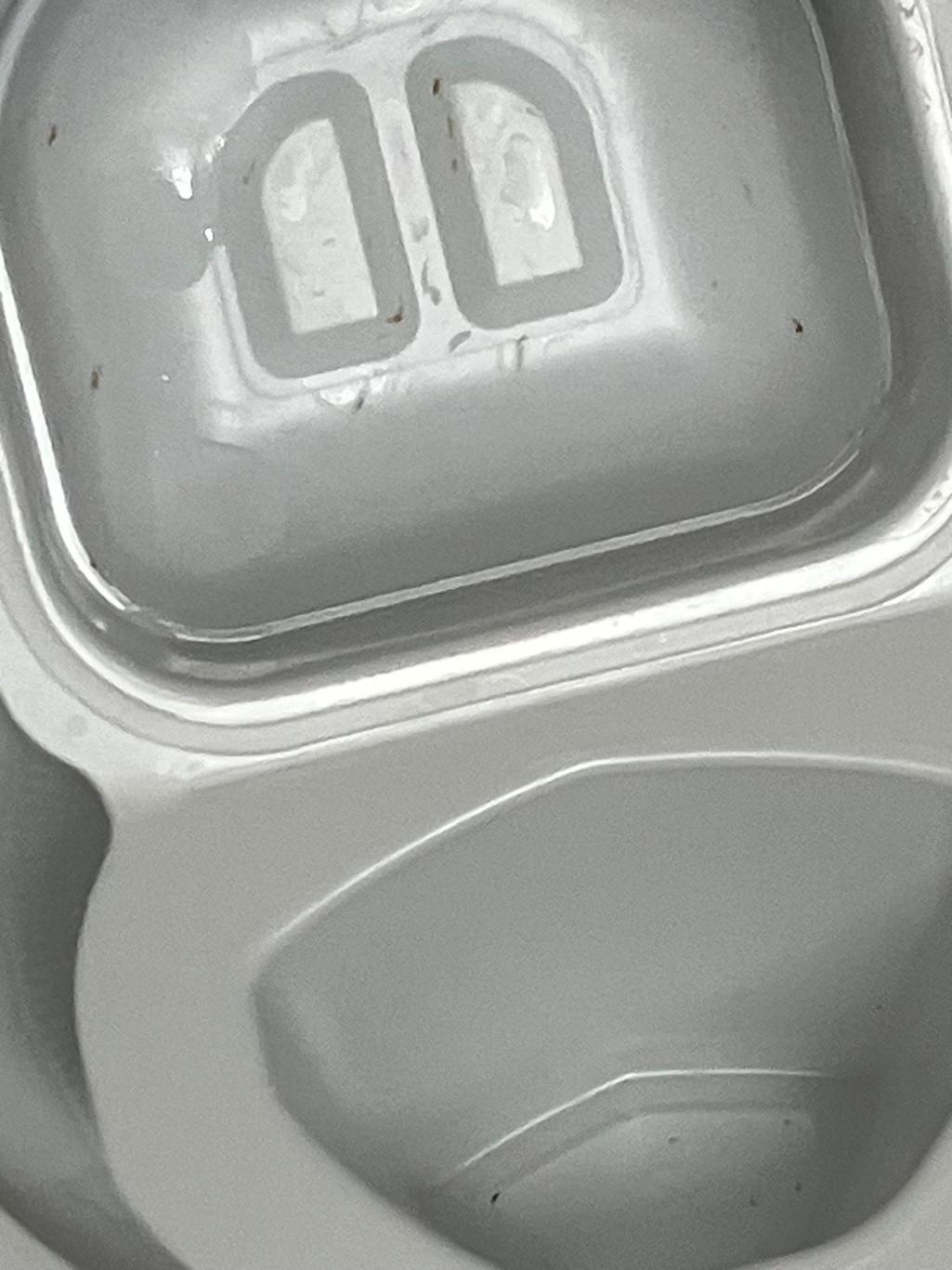 4번 째 사진