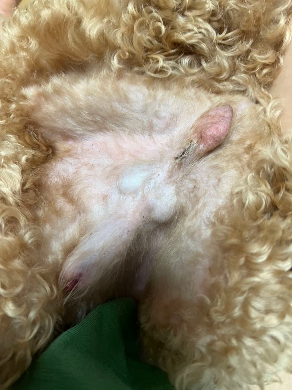 2번 째 사진