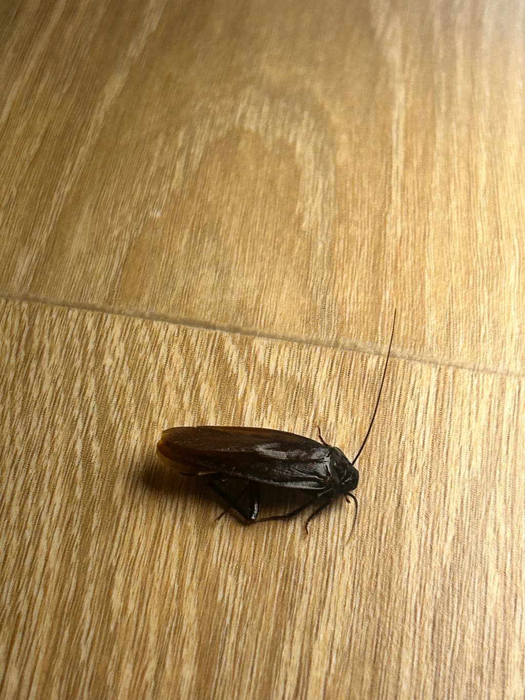 2번 째 사진