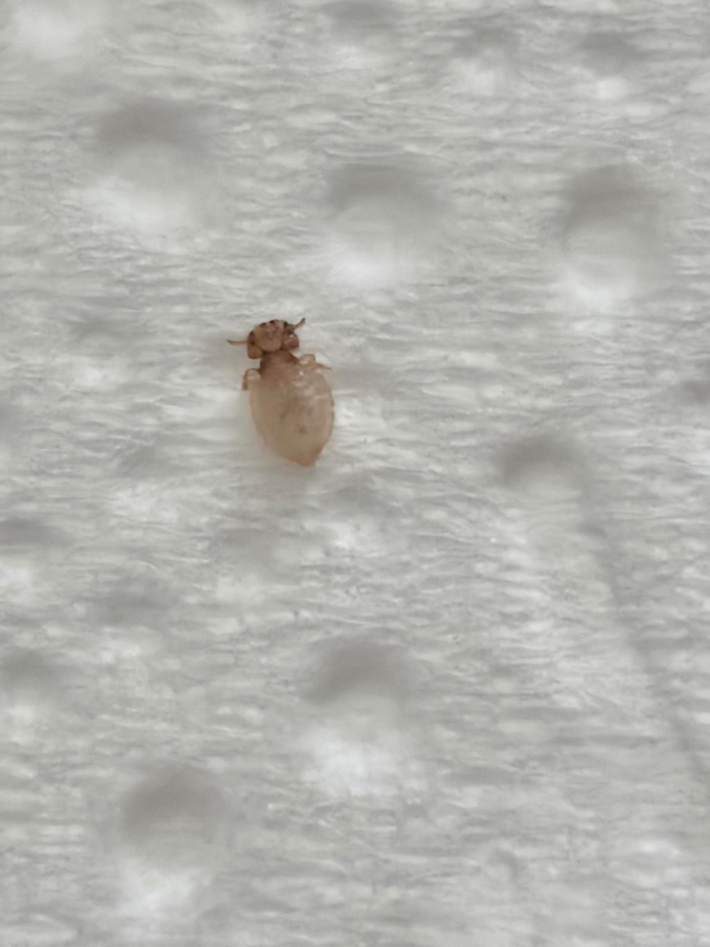 2번 째 사진