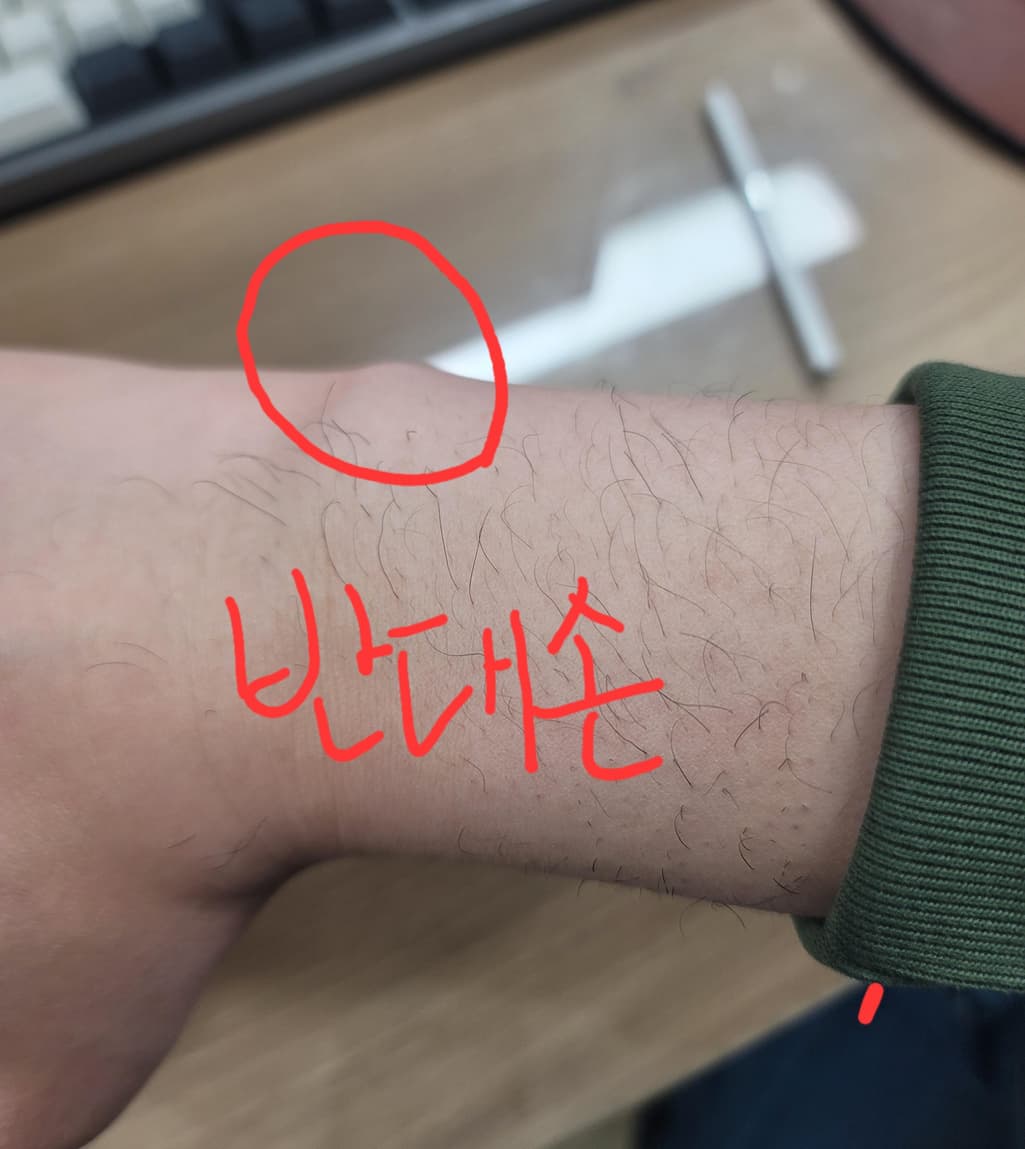 2번 째 사진