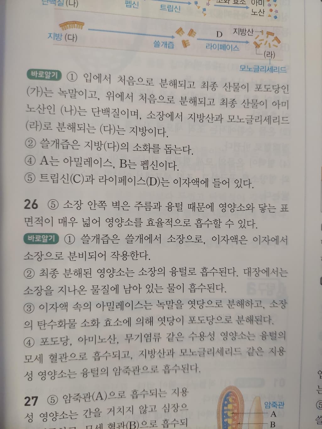 2번 째 사진