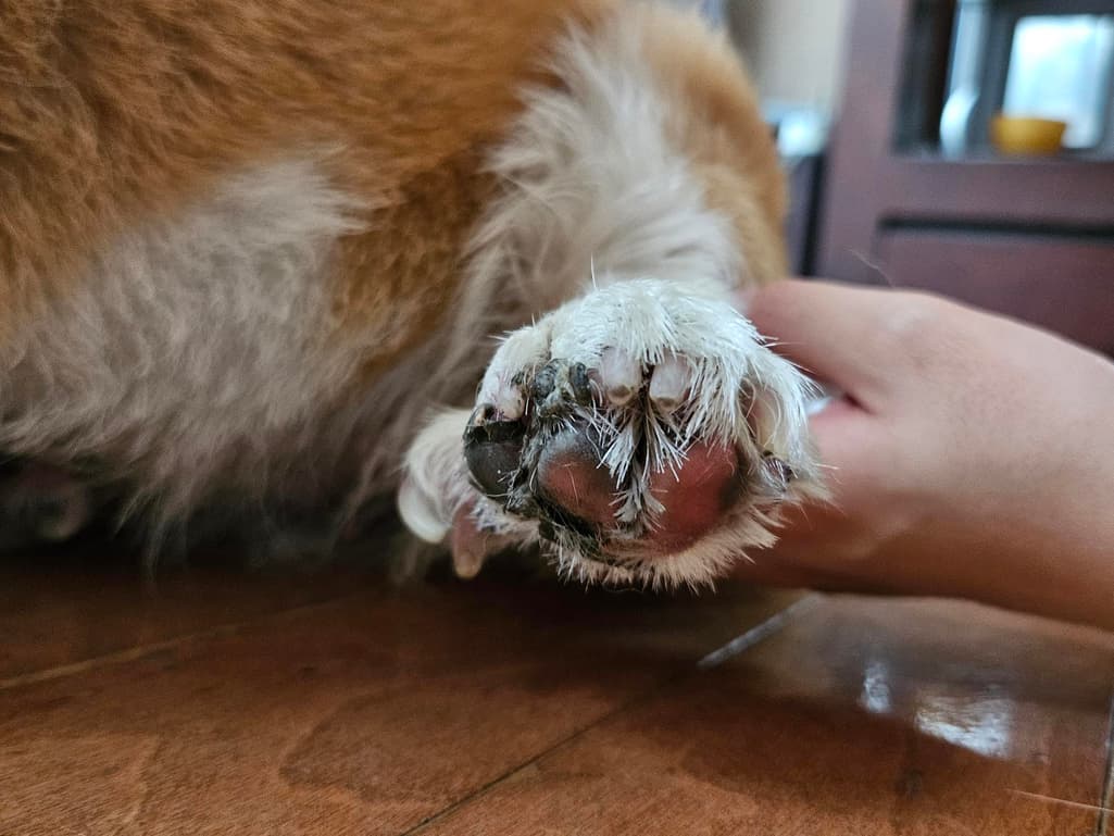 4번 째 사진