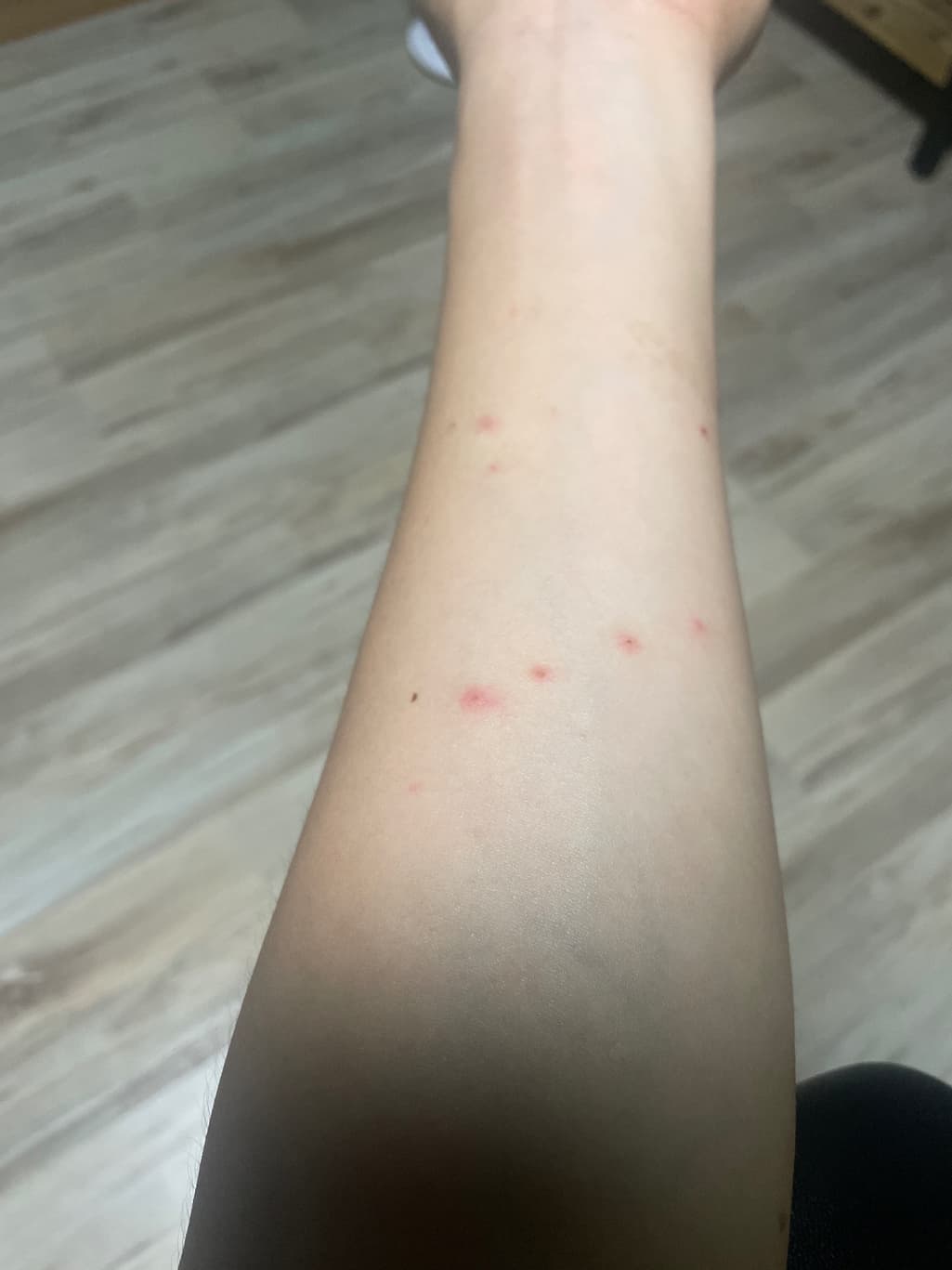 2번 째 사진