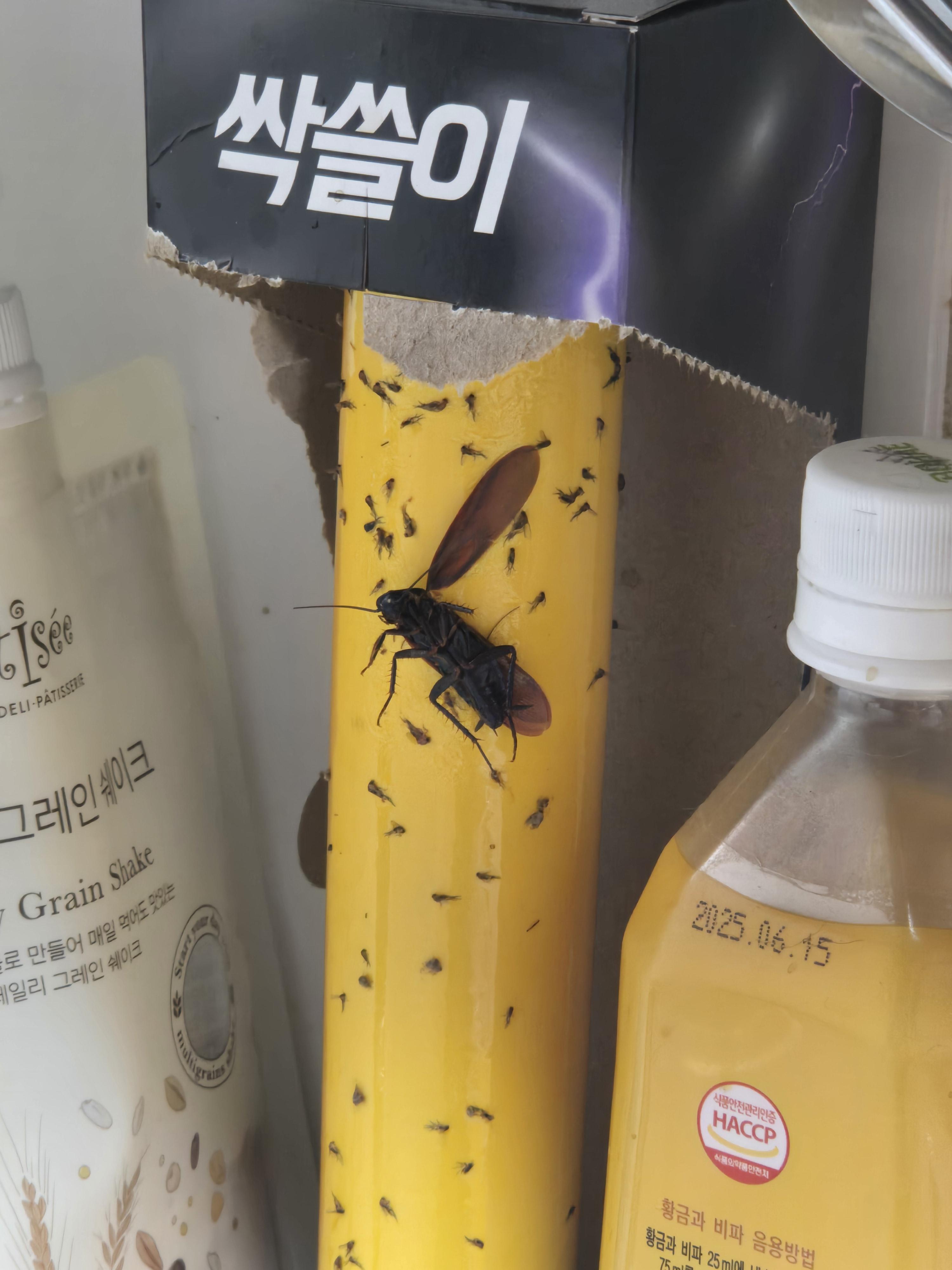 2번 째 사진