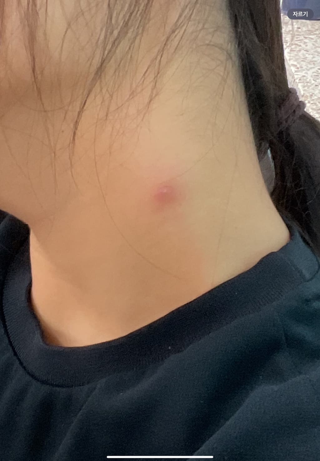 2번 째 사진
