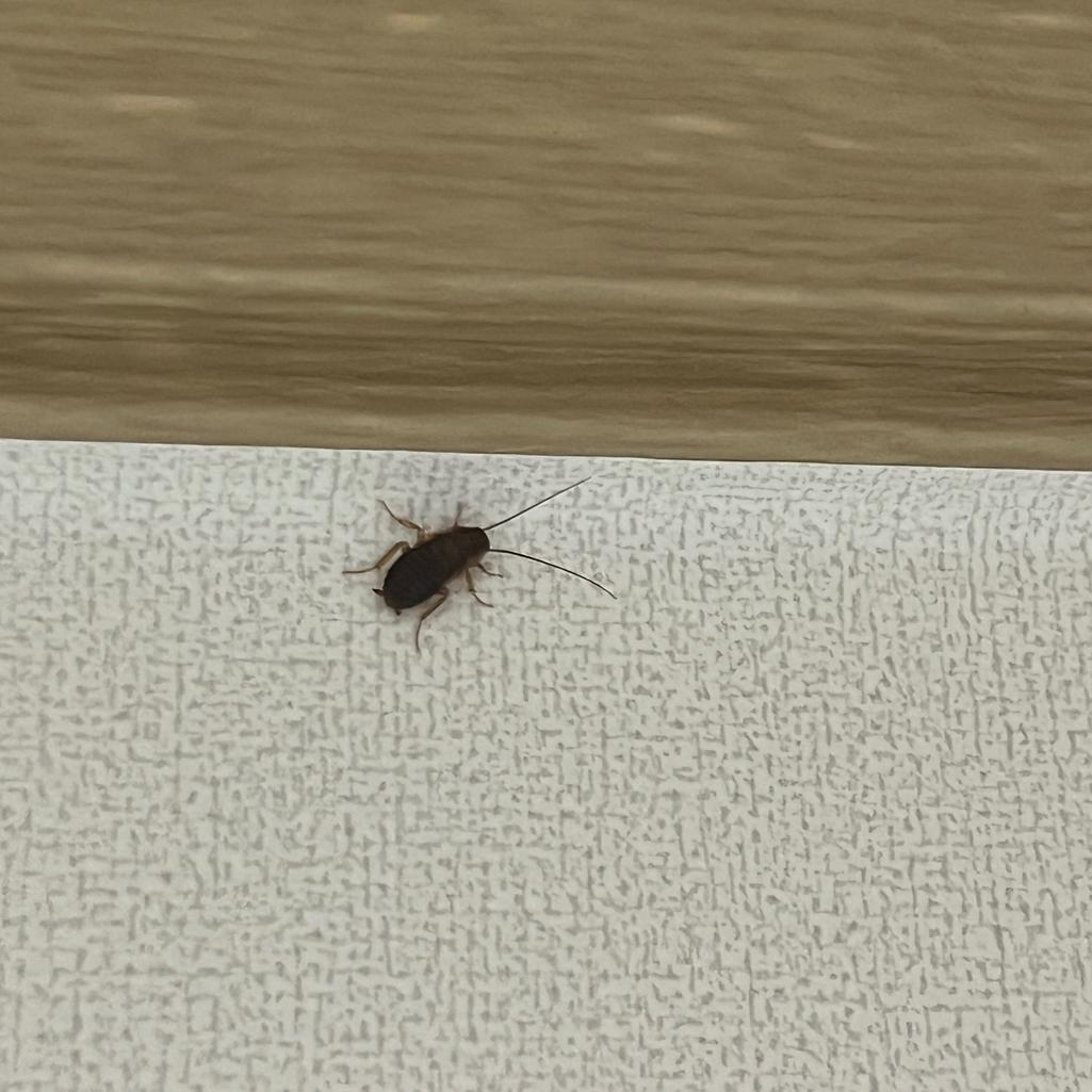 3번 째 사진