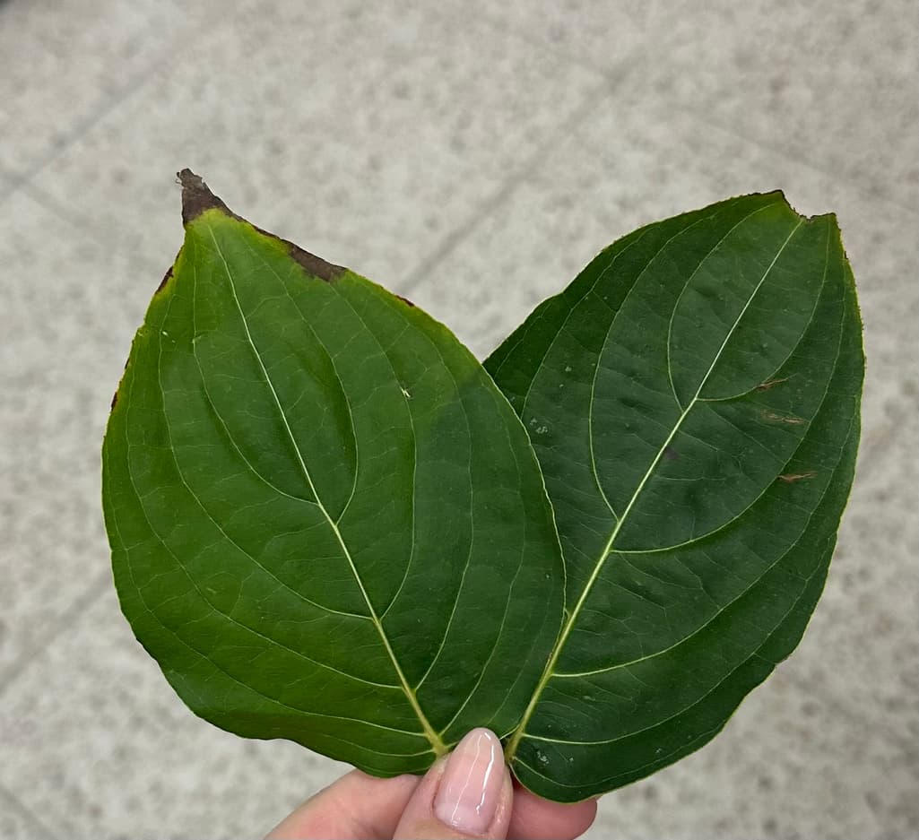 3번 째 사진