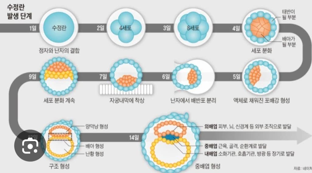 2번 째 사진
