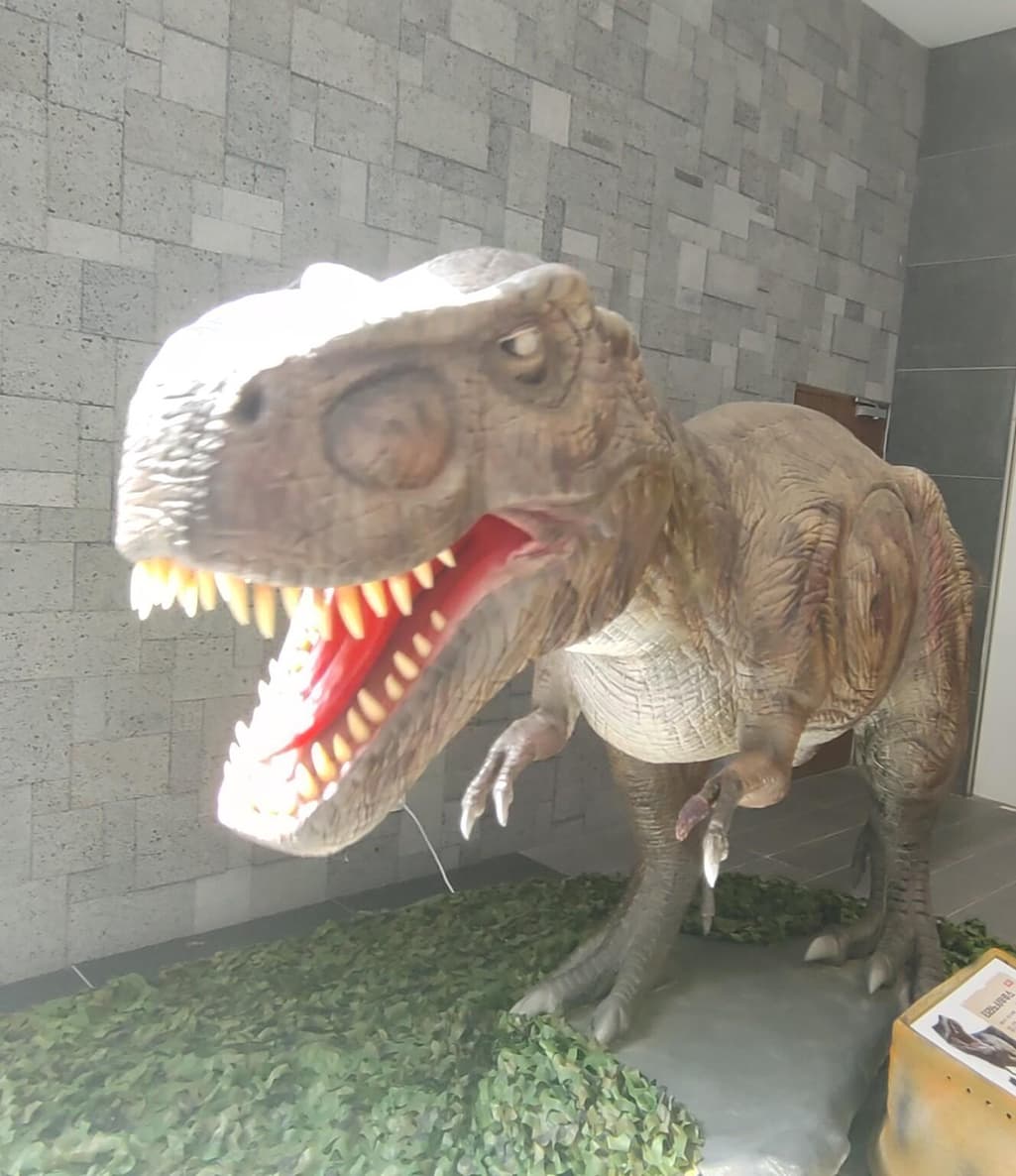 3번 째 사진